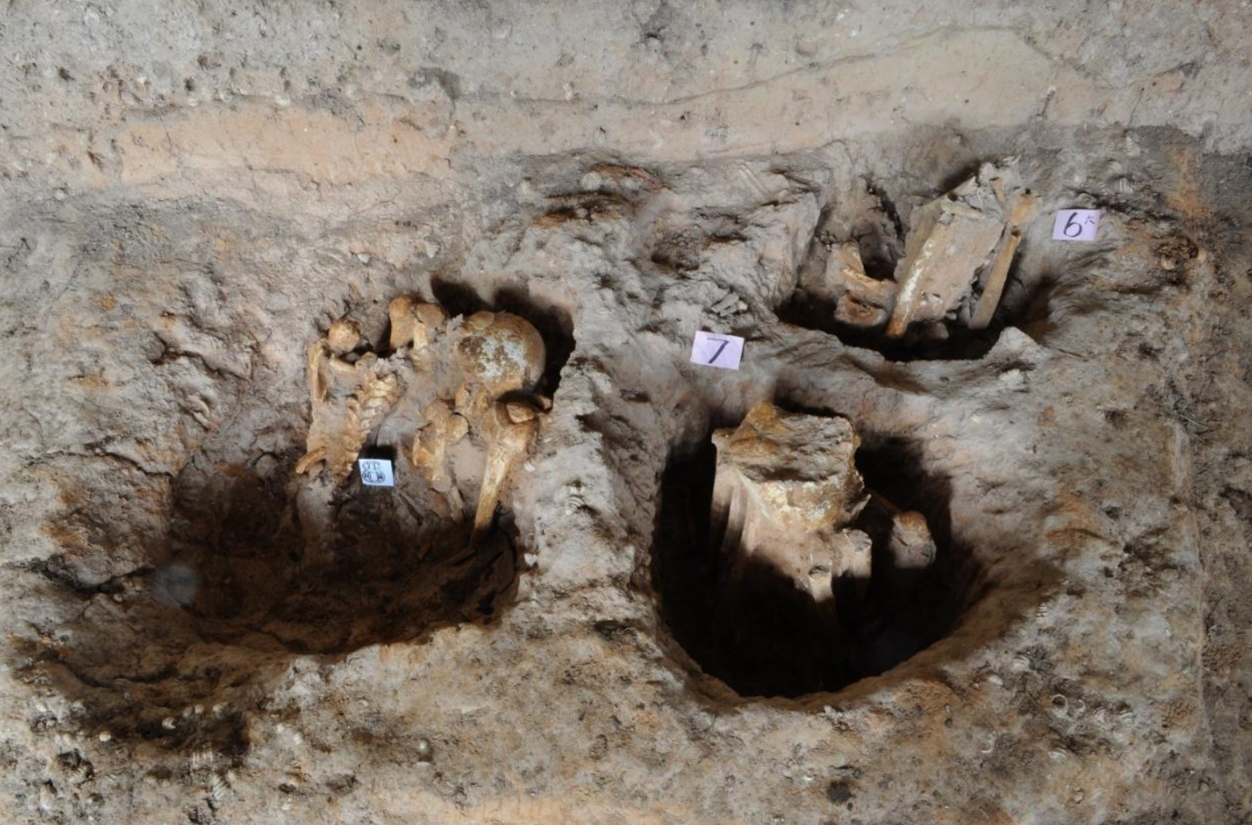 Archaeologists believe ancient remains found at sites across southern China and neighbouring countries provide evidence of mummification. Photo: Handout