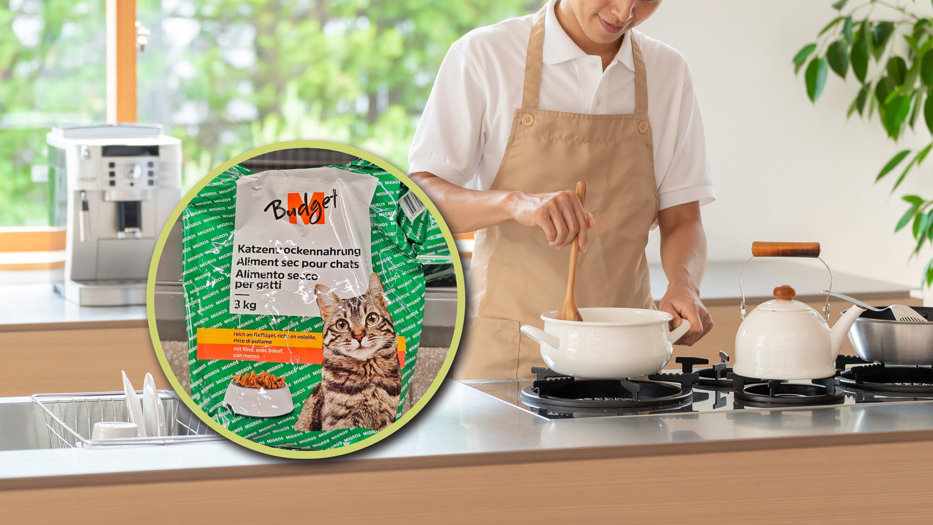 A frugal PhD student in Switzerland claims to save money by living on cheap meals and supplementing his protein needs with cat food. Photo: SCMP composite/Shutterstock/RedNote