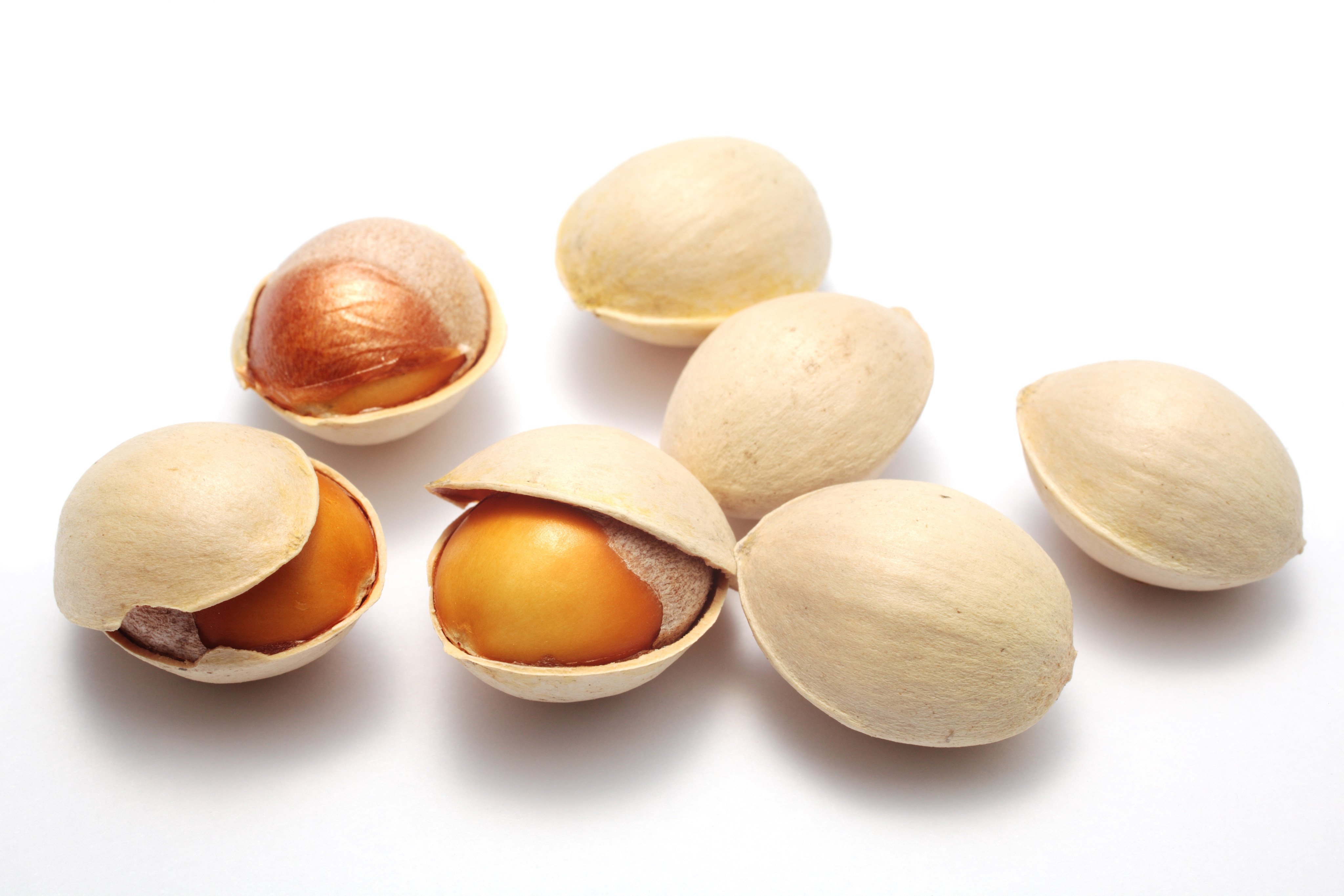 [Shutterstock] Ginkgo nuts
Royalty-free stock photo ID: 71676598