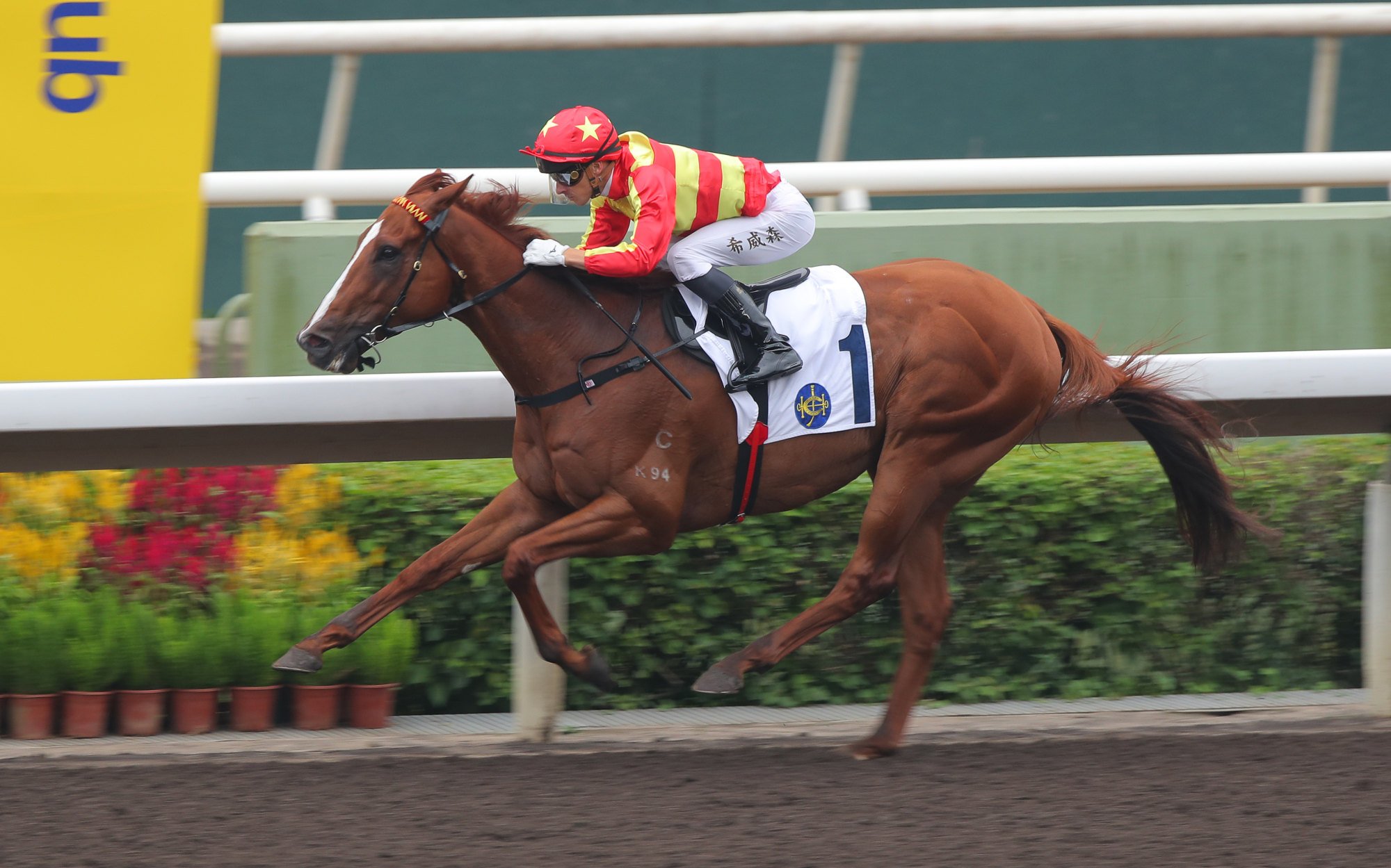 New Forest wins under Lyle Hewitson at Sha Tin in May.