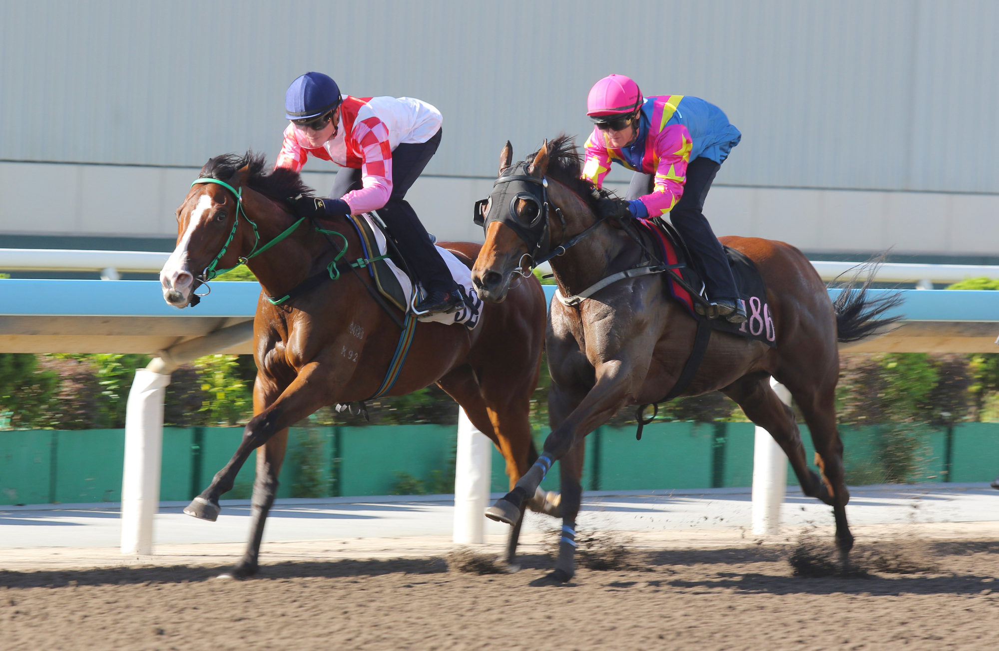 Chill Kaka (outside) trials under Zac Purton on September 11. Chill Kaka (outside) trials under Zac Purton on September 11.