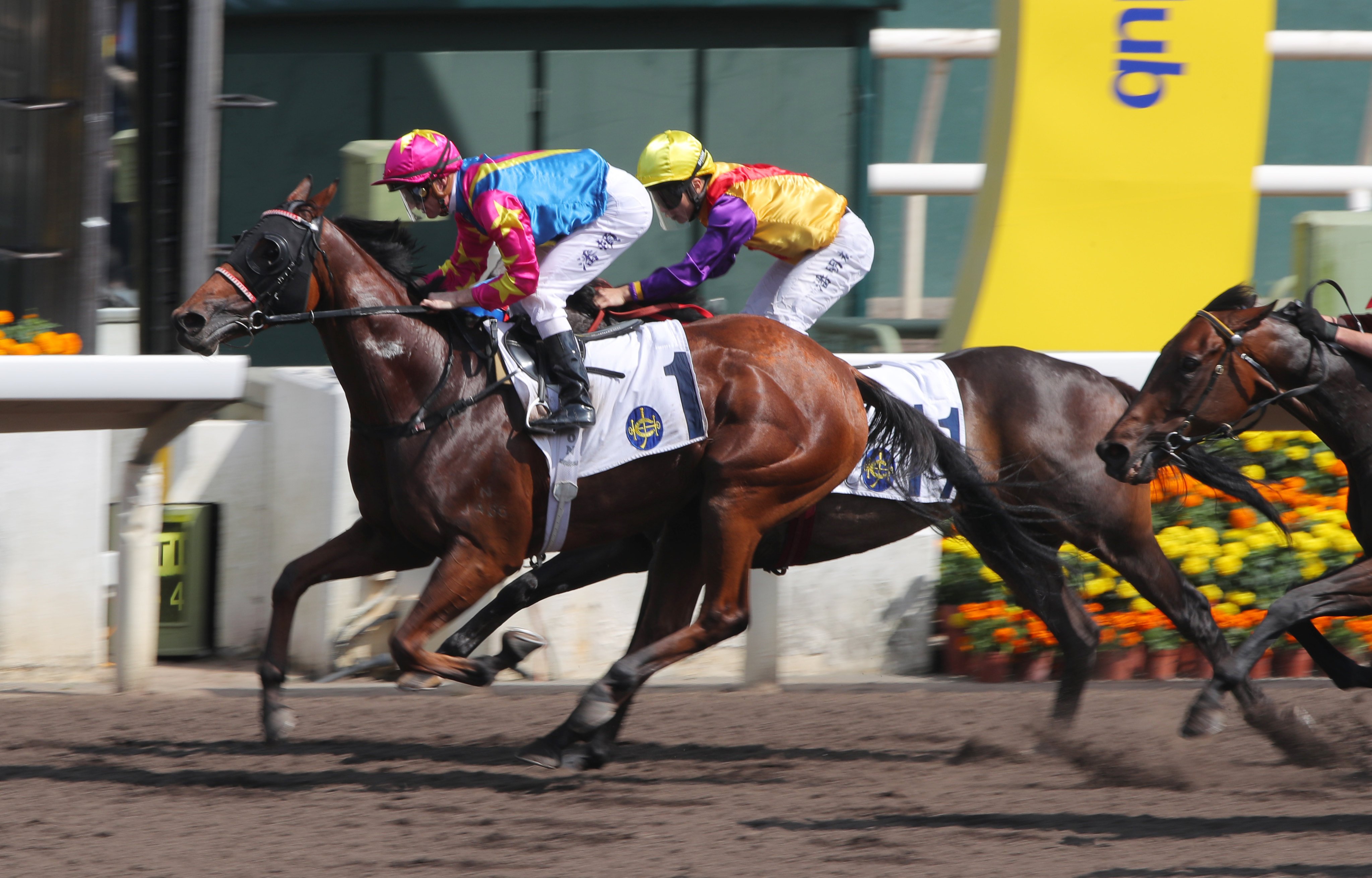 Zac Purton boots home Chill Kaka in April. Photos: Kenneth Chan