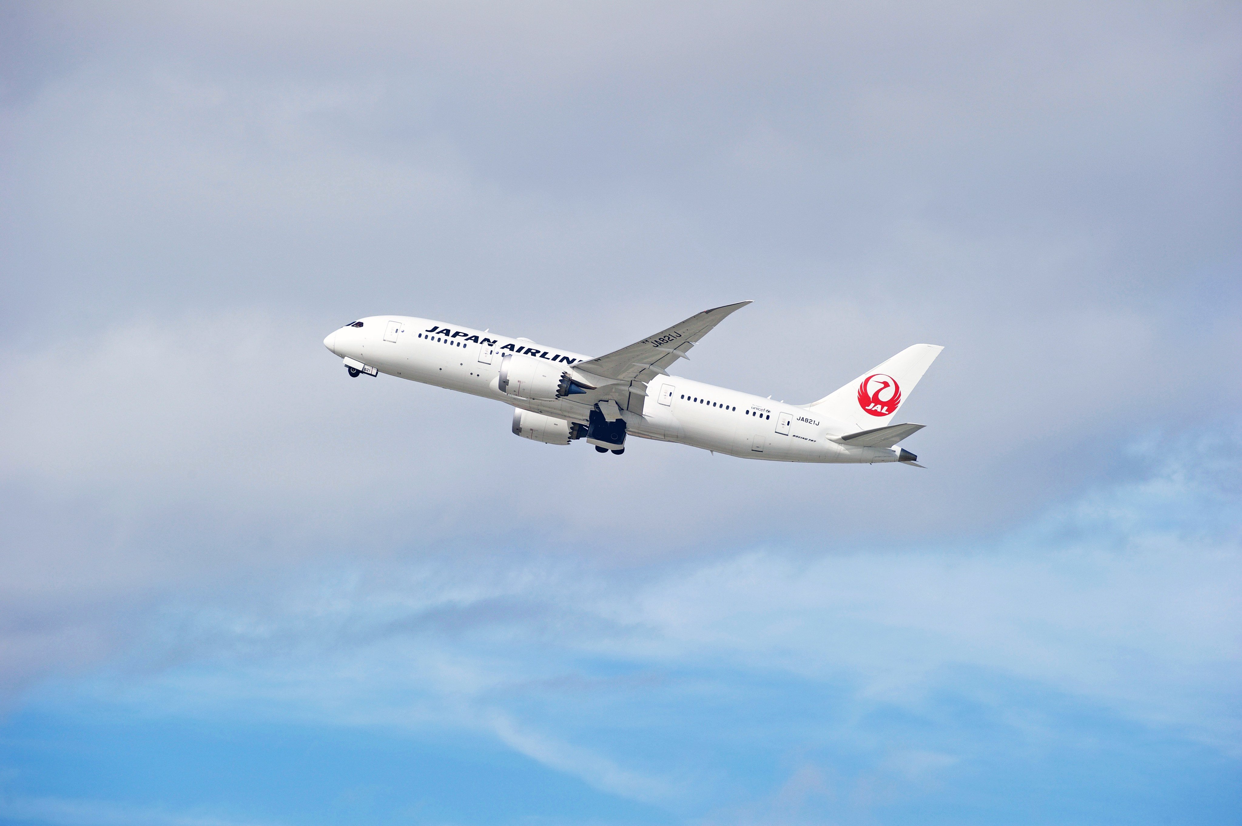 Increased demand for long-haul flights has boosted Japan Airlines’ revenue. Photo: Shutterstock