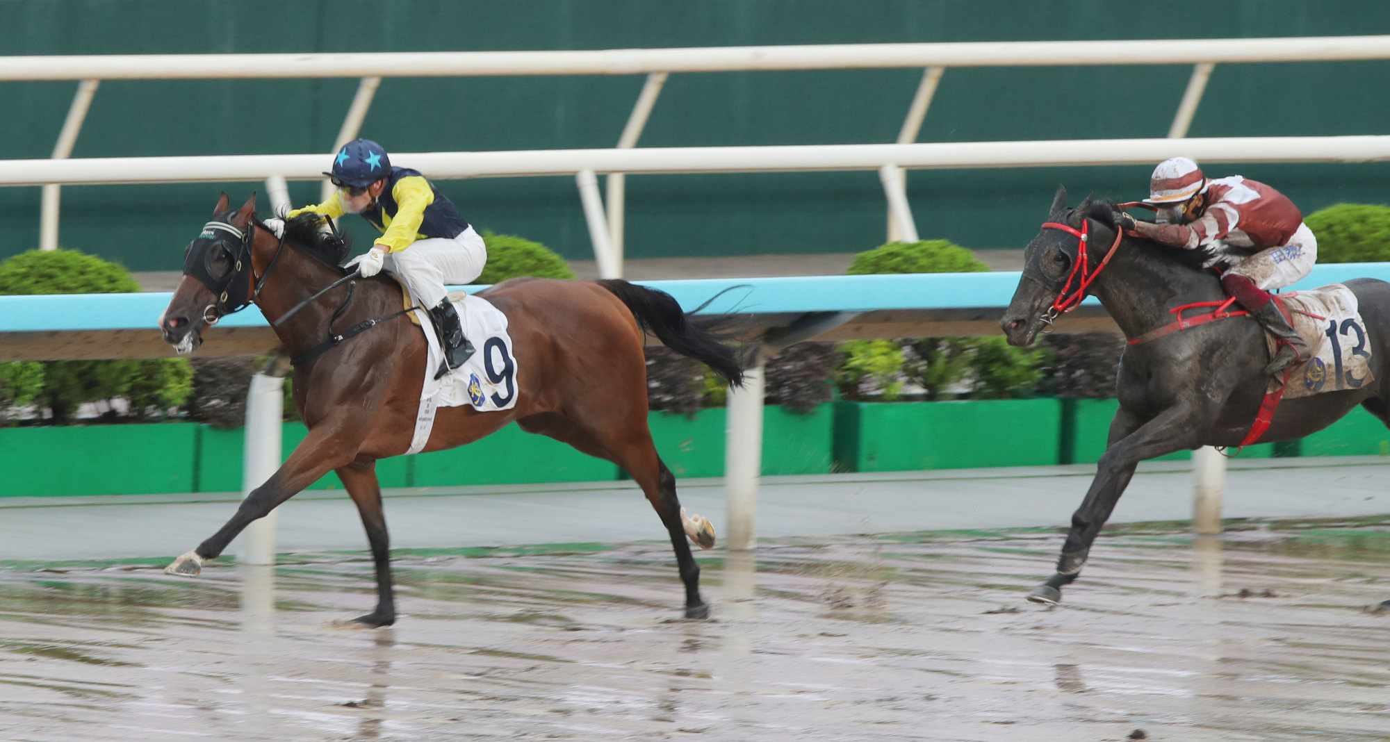 Precision Goal draws clear under Luke Ferraris. Precision Goal draws clear under Luke Ferraris.