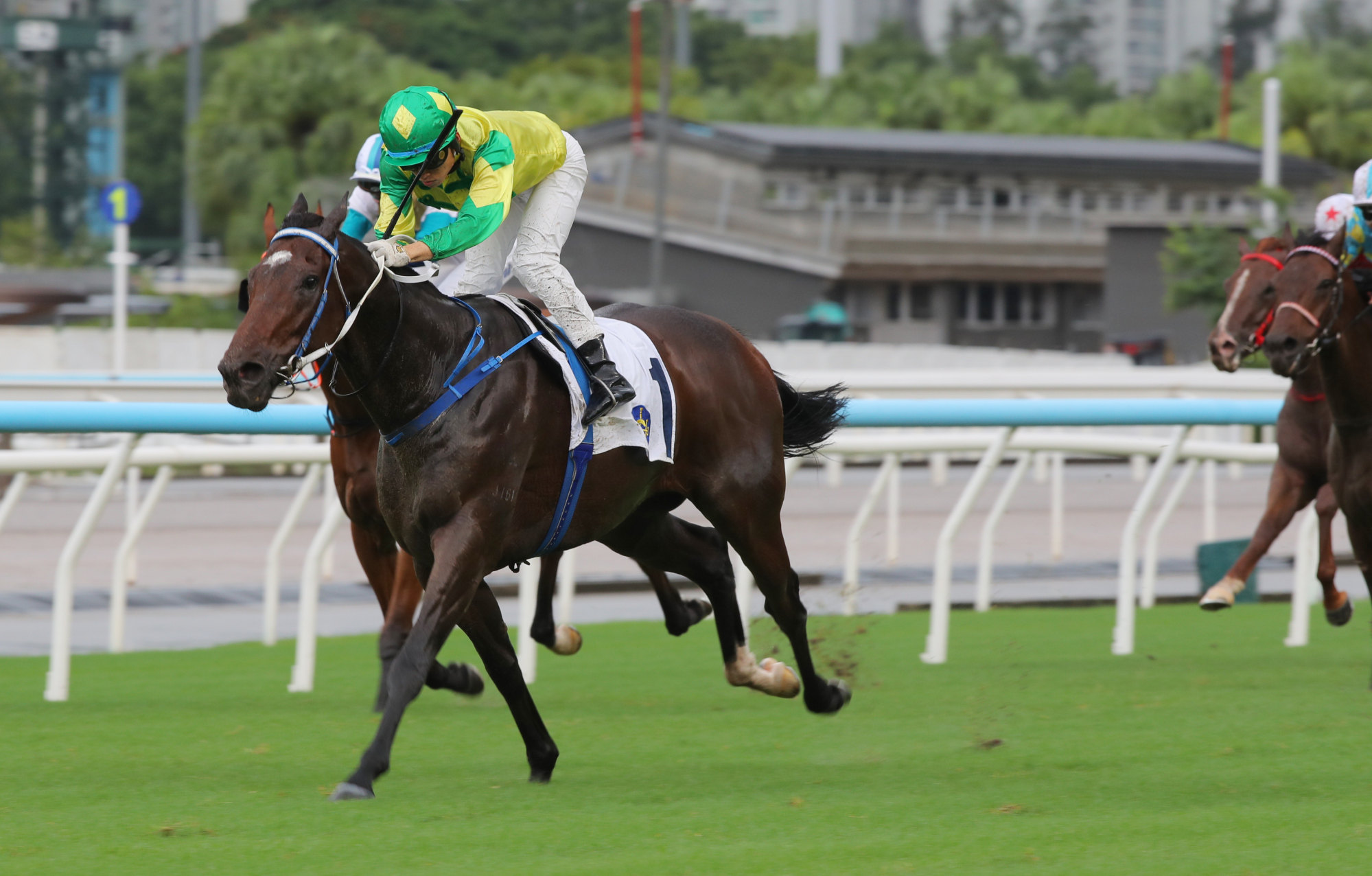 Ellis Wong boots home Sky Trust. Ellis Wong boots home Sky Trust.