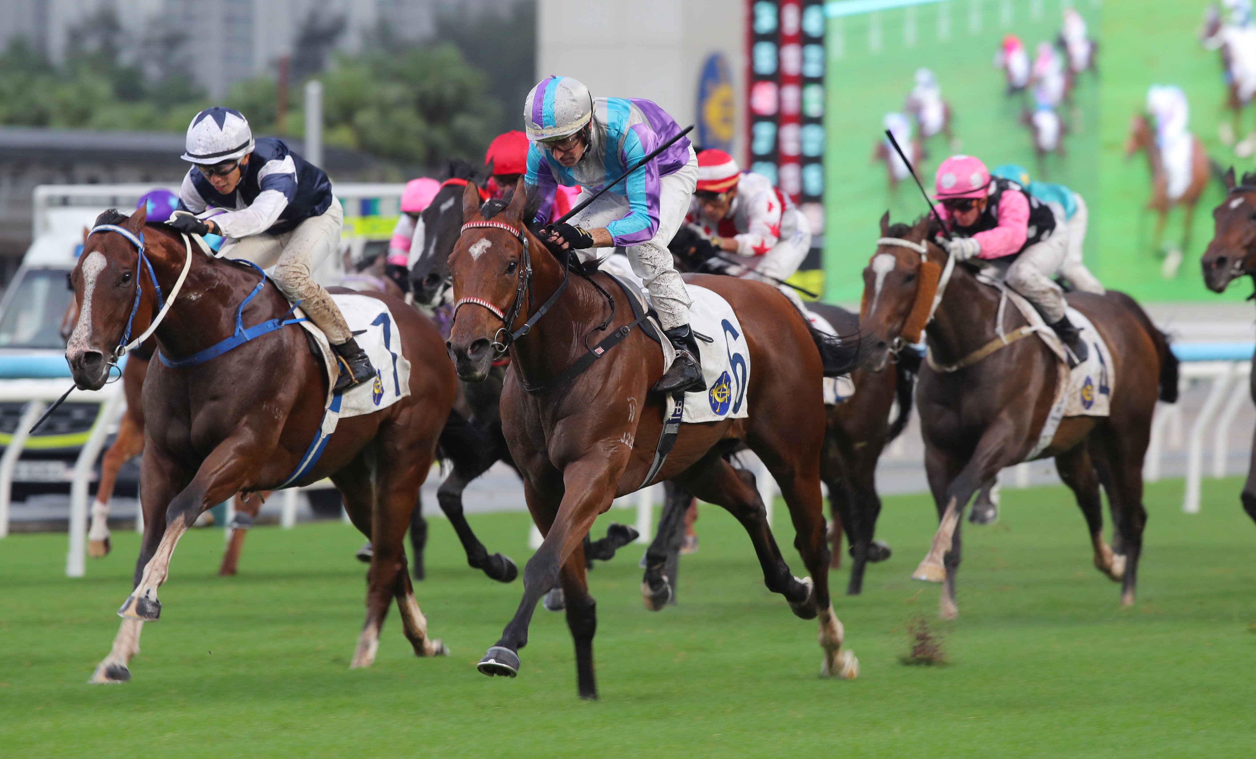 Solid Win storms home down the outside under Hugh Bowman to win at Sha Tin. Photos: Kenneth Chan