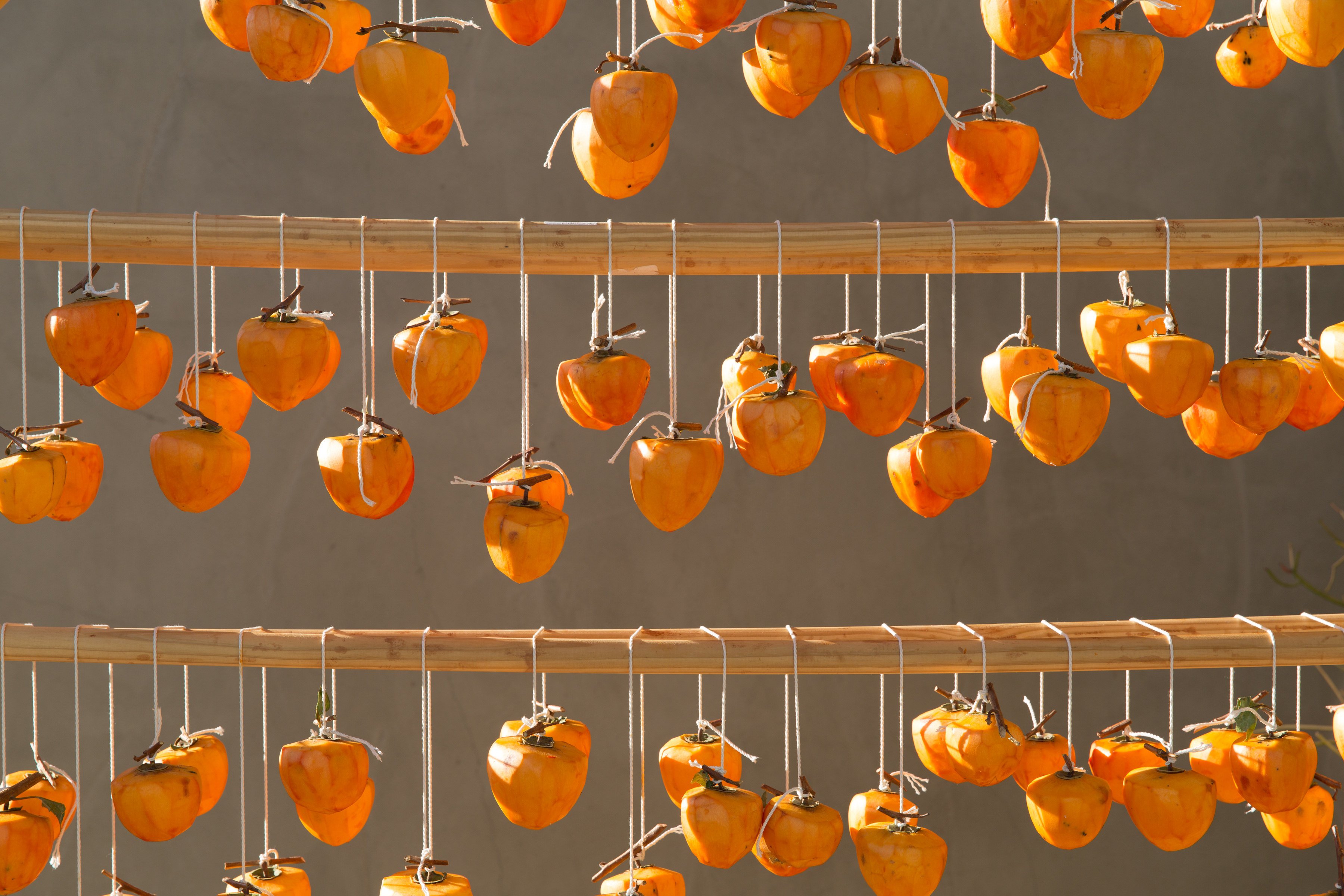 To make delicious Hoshigaki, or air-dried persimmons, the fruits need to be hung up and dried for a week before they are gently massaged until their natural sugars crystallise. Photo: Rick Poon