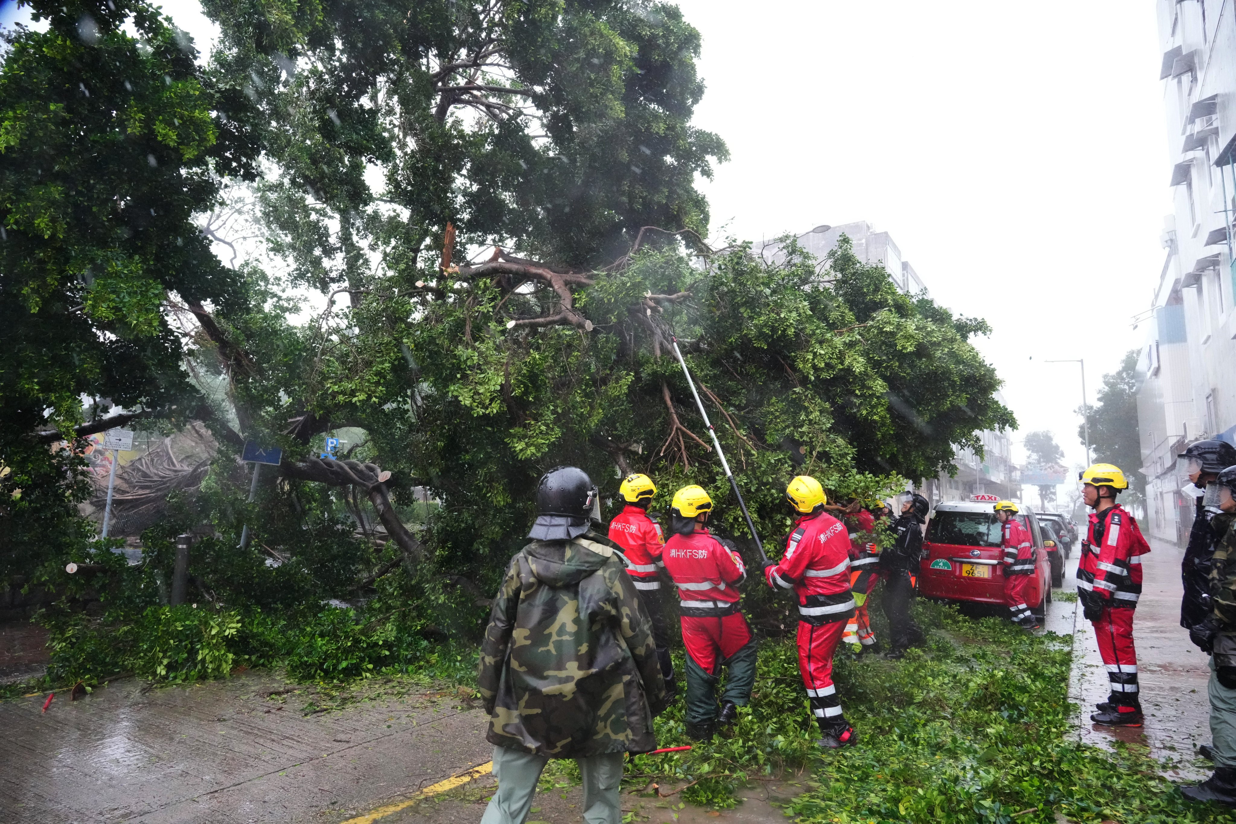 Firefighters and police officers work to remove a fallen tree in Sai Kung. Photo: May Tse