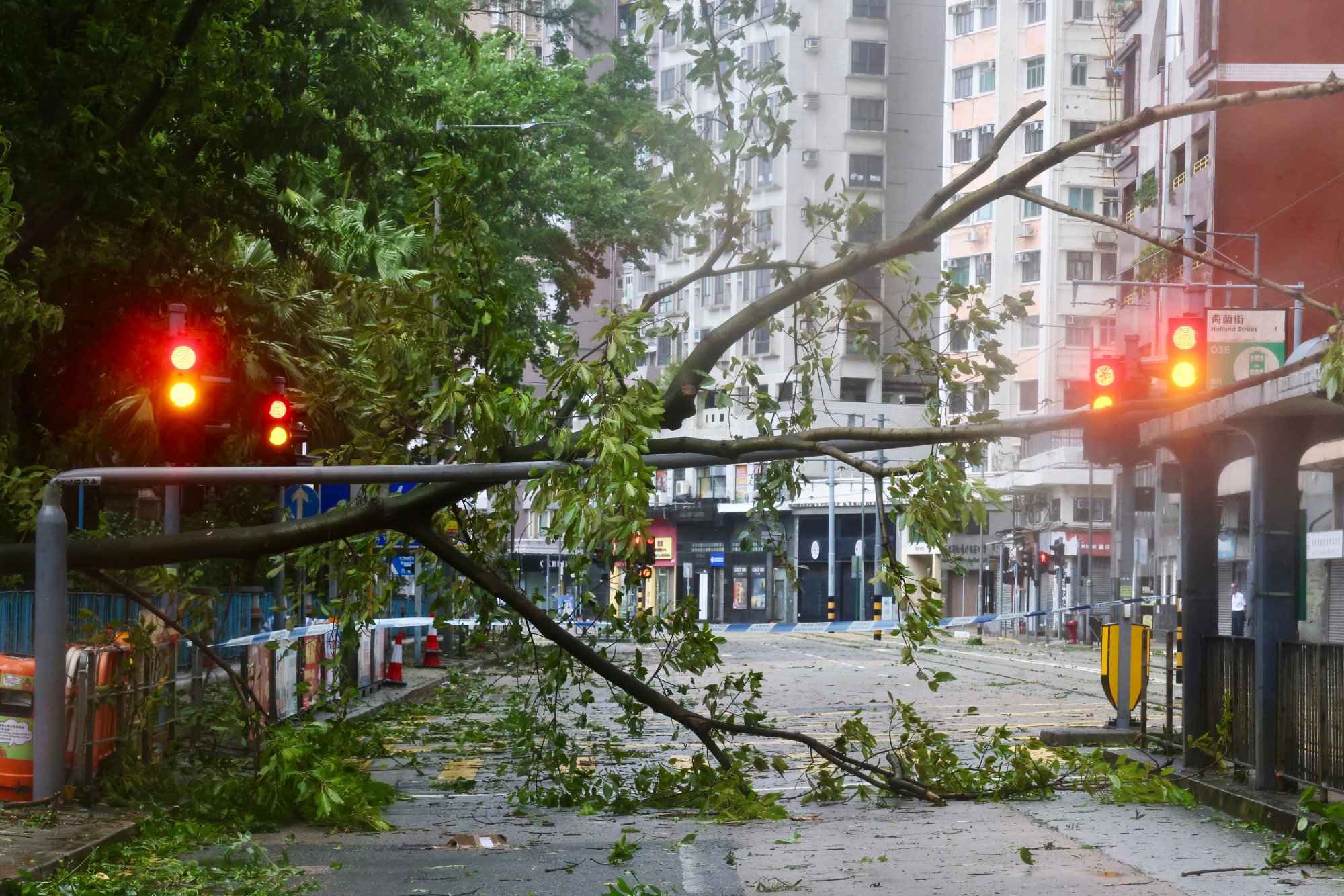 A fallen tree and damaged lamp post block a road in Western district. Photo: Jonathan Wong A fallen tree and damaged lamp post block a road in Western district. Photo: Jonathan Wong