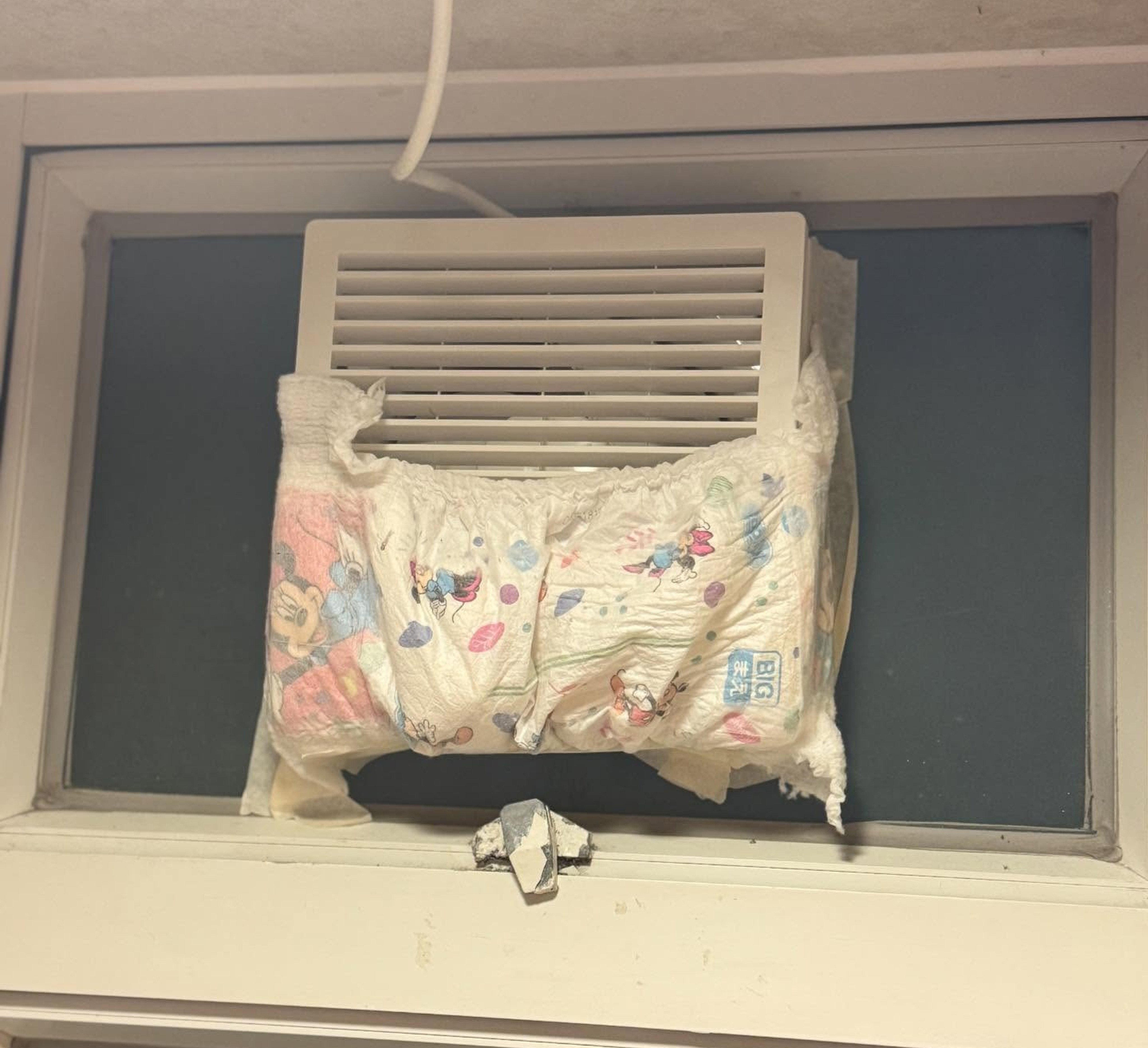 Hongkongers resorted to unconventional methods to keep out the rain when the city was struck by a super typhoon. Photo: Handout