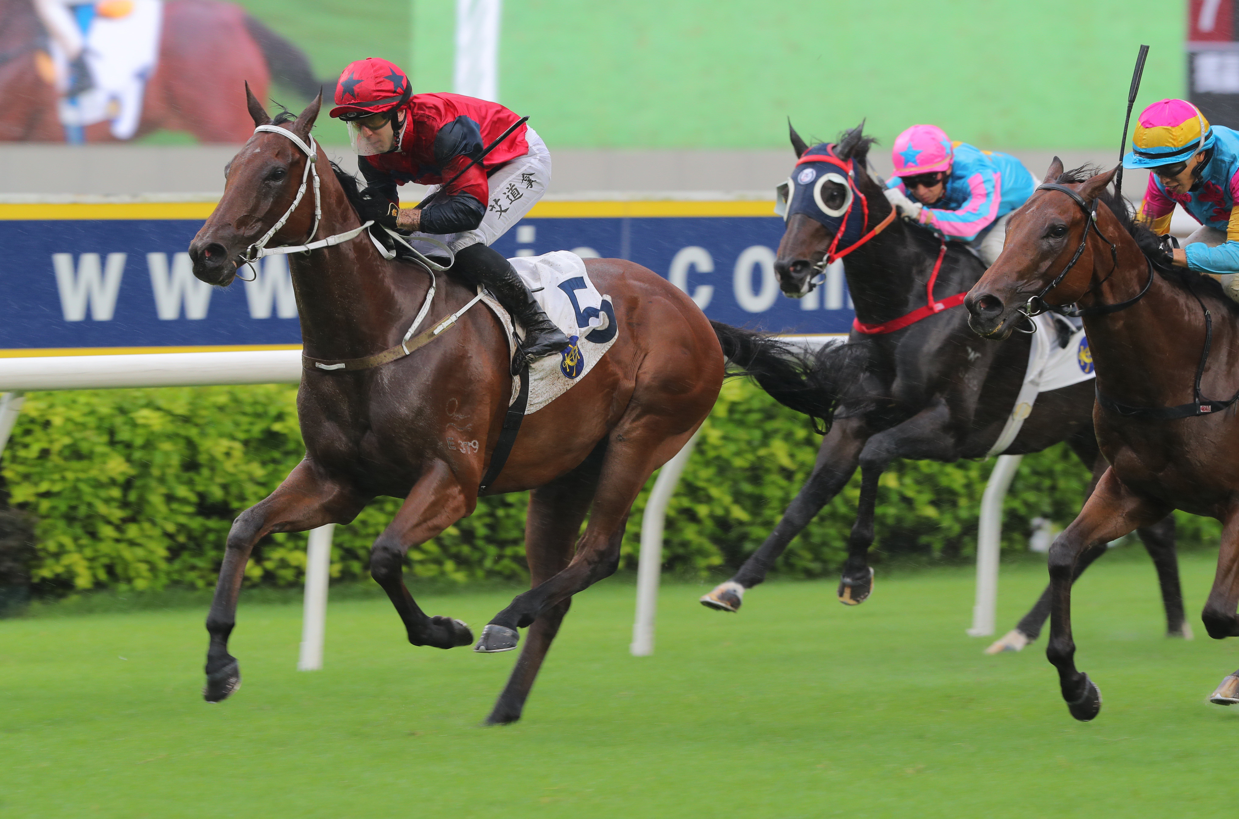 The Golden Scenery wins last year’s Group Three Celebration Cup (1,400m). Photos: Kenneth Chan