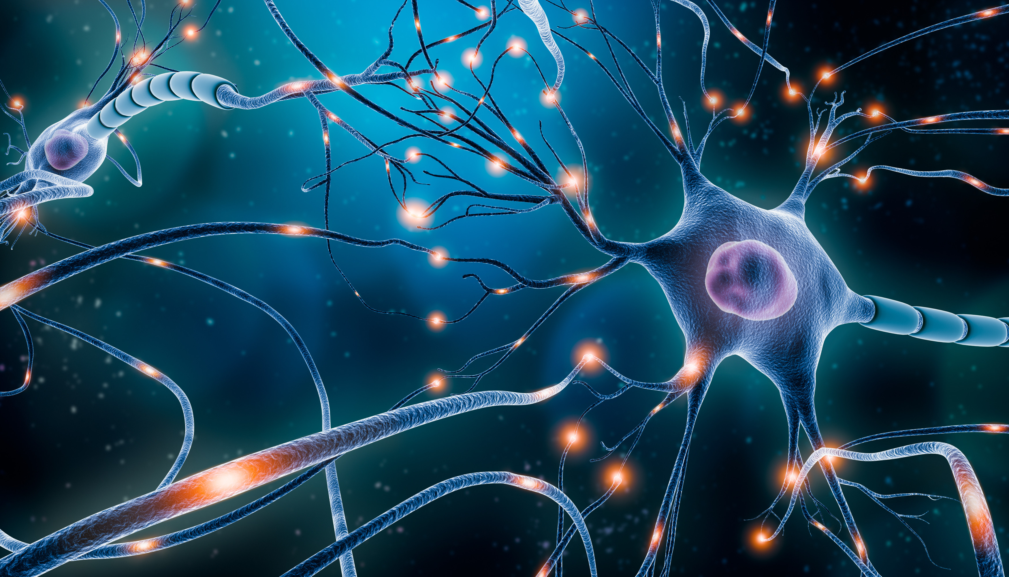 A 3D artist’s rendering of a neuronal network.  Huntington’s is a fatal neurodegenerative disease caused by a single genetic mutation. Image: Shutterstock