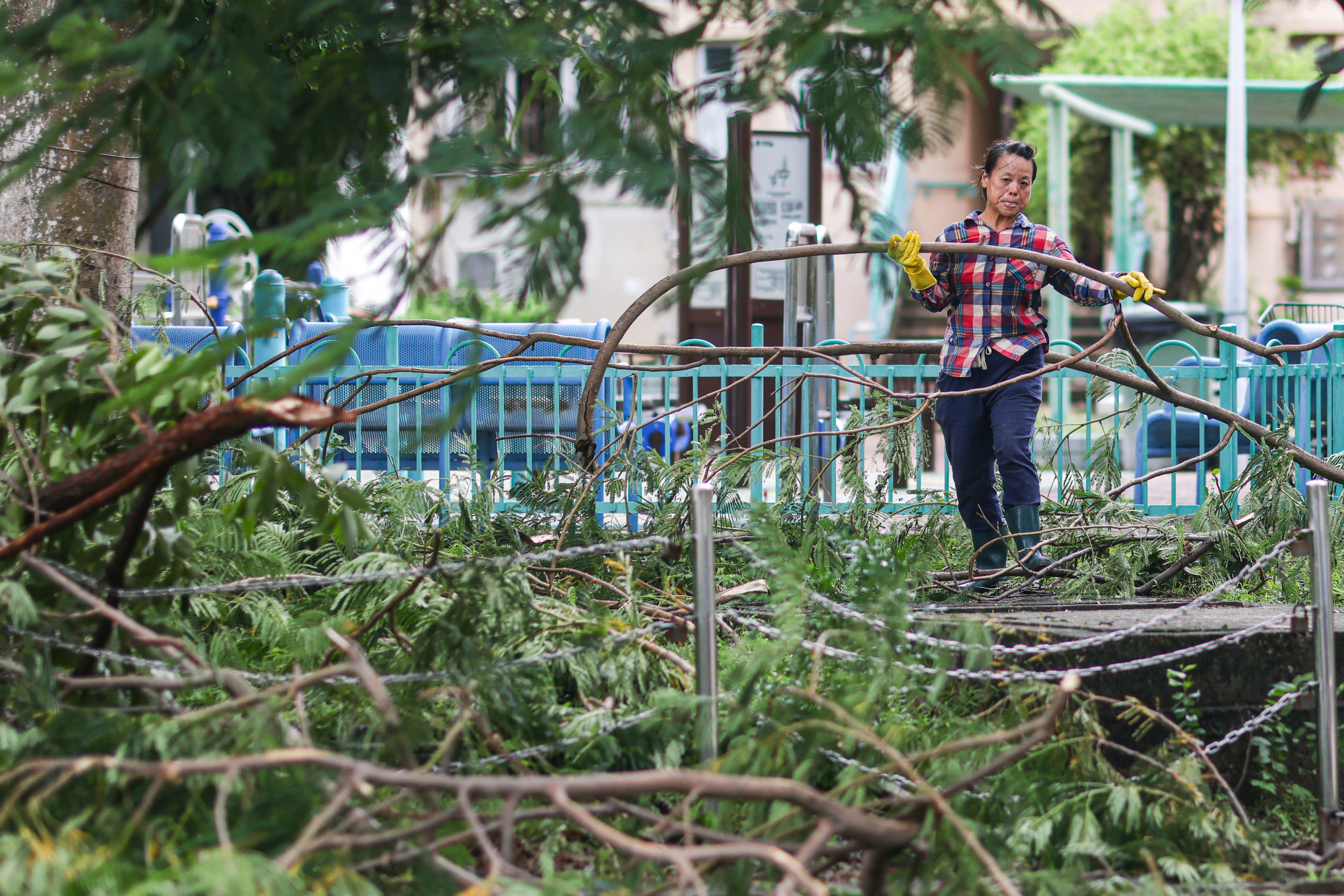 A woman removes fallen tree branches in Tai O on Lantau Island. Photo: Eugene Lee A woman removes fallen tree branches in Tai O on Lantau Island. Photo: Eugene Lee