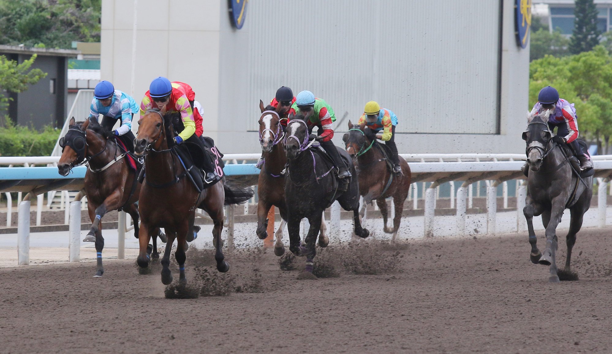 My Wish routs them in a recent trial on the Sha Tin dirt.