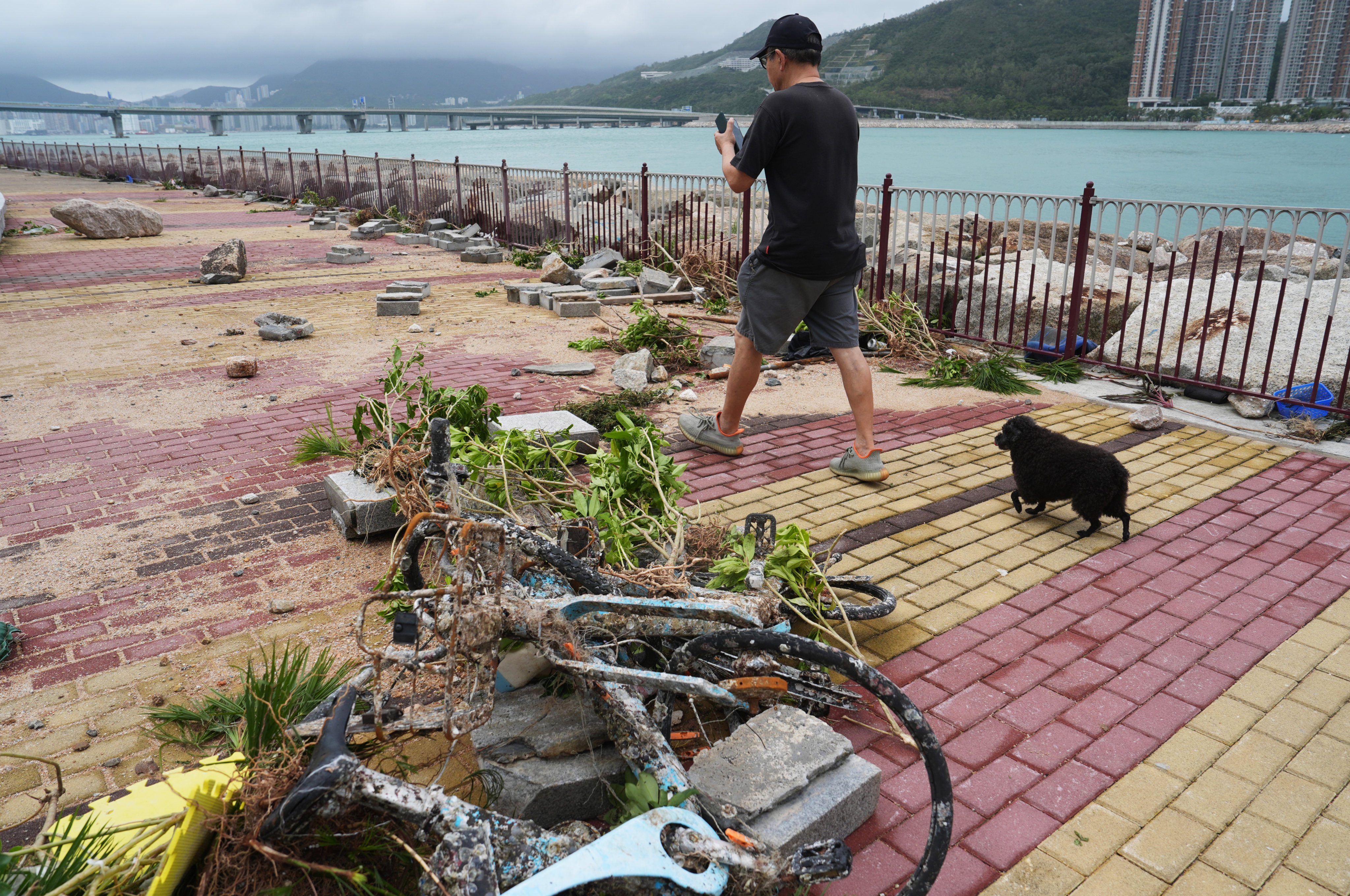 A man and his dog walk past debris and garbage left along the Tseung Kwan O promenade in the aftermath of Ragasa. Photo: Elson Li