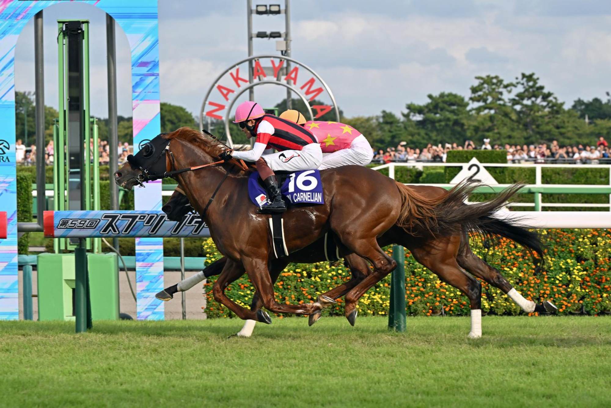 Win Carnelian (outside) edges June Blair to win the Sprinters Stakes at Nakayama Racecourse. Photo: JRA Win Carnelian (outside) edges June Blair to win the Sprinters Stakes at Nakayama Racecourse. Photo: JRA