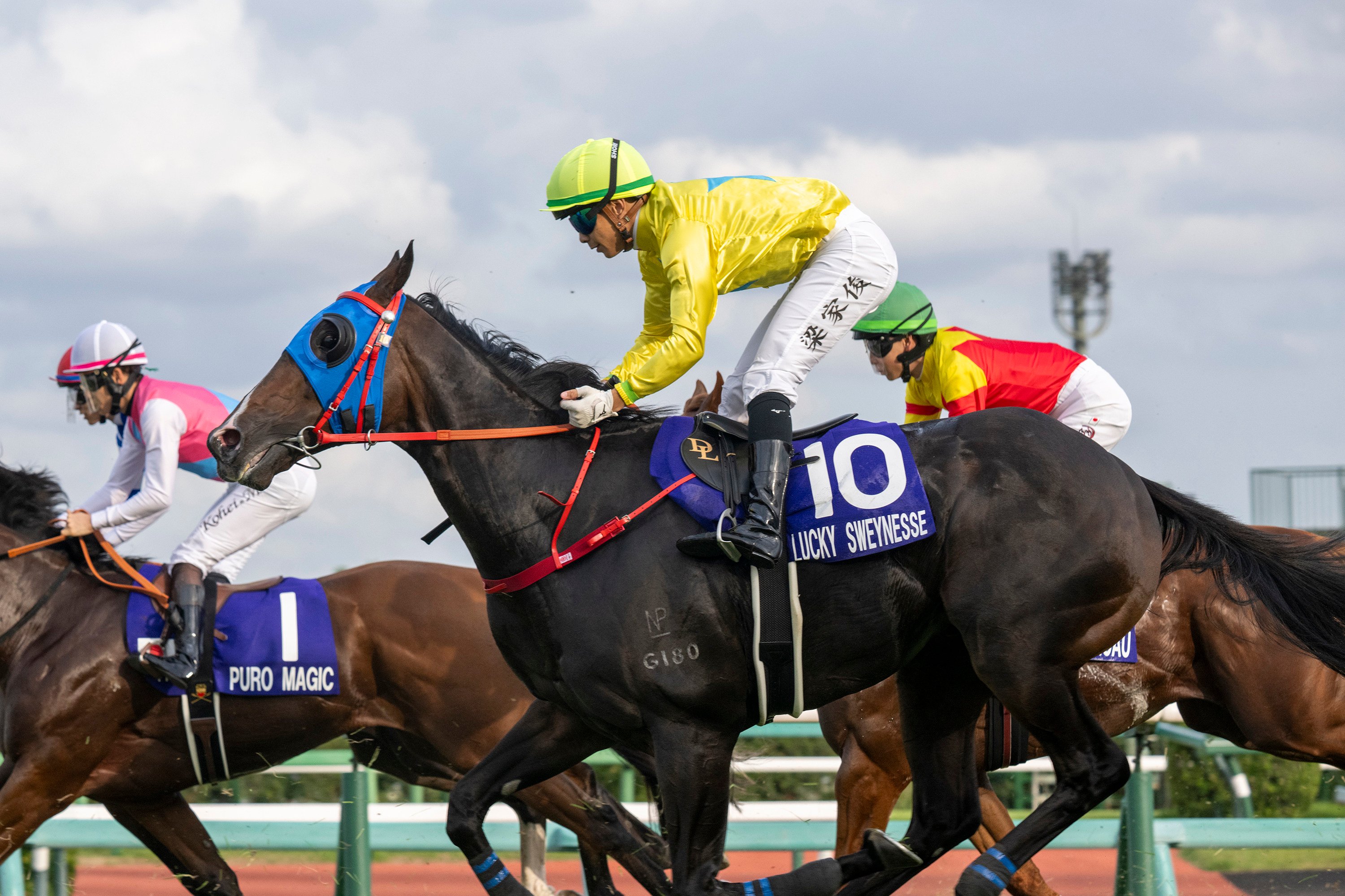 Lucky Sweynesse finishes 11th in the Group One Sprinters Stakes (1,200m) in Japan on Sunday. Photo: HKJC