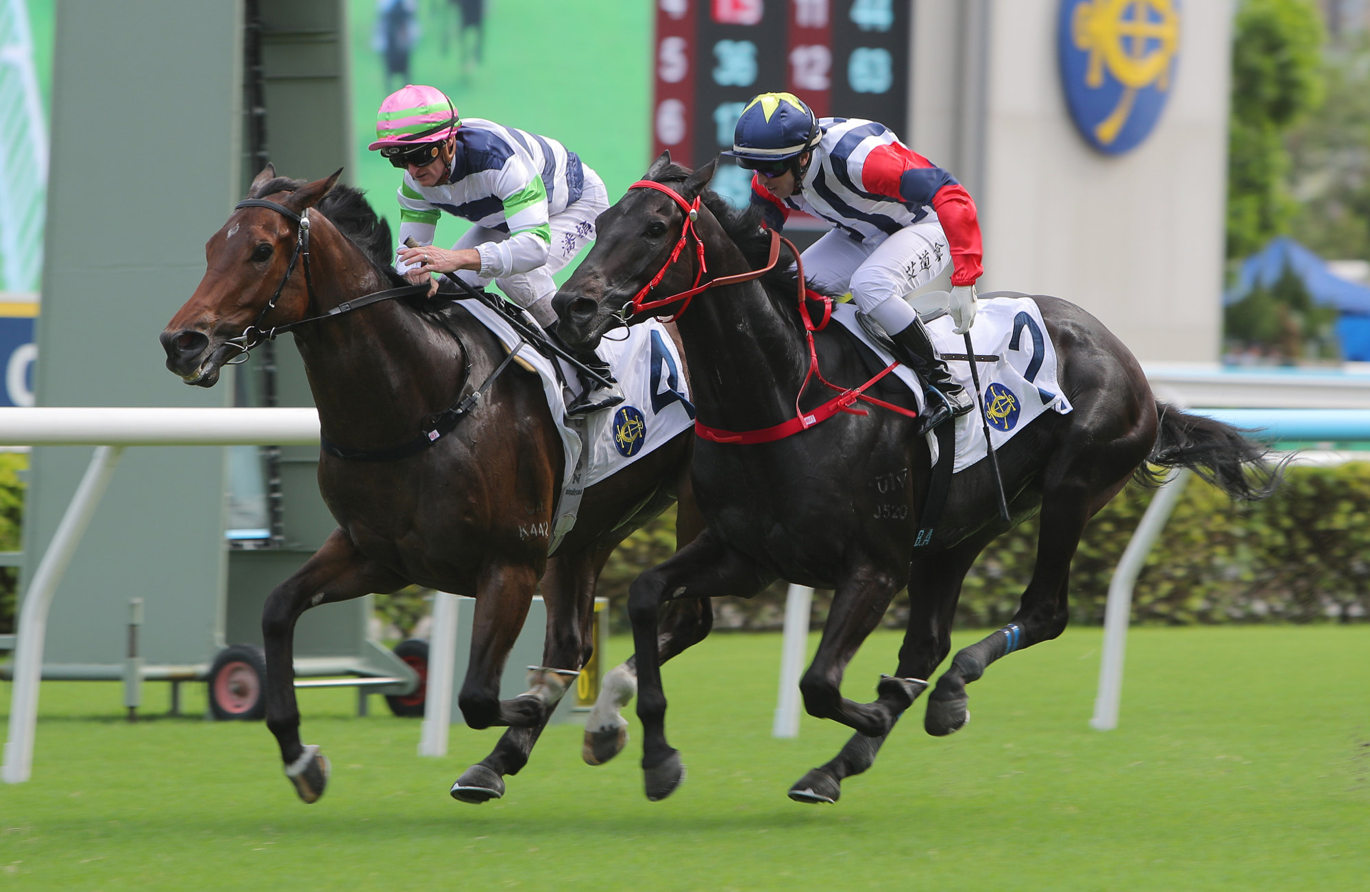 Packing Phoenix (inside) clings on to make a winning debut.