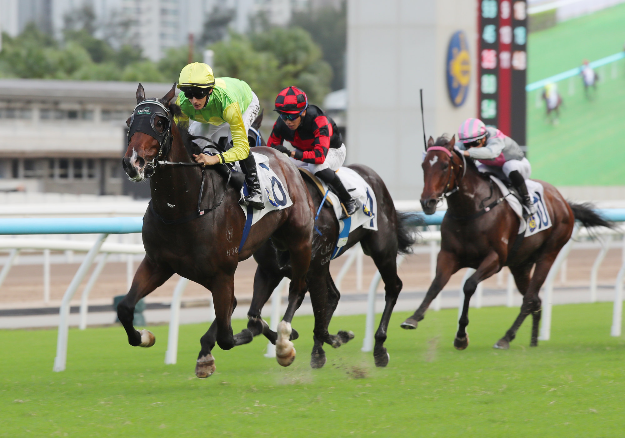 Tomodachi Kokoroe wins with ears pricked at Sha Tin on Sunday.