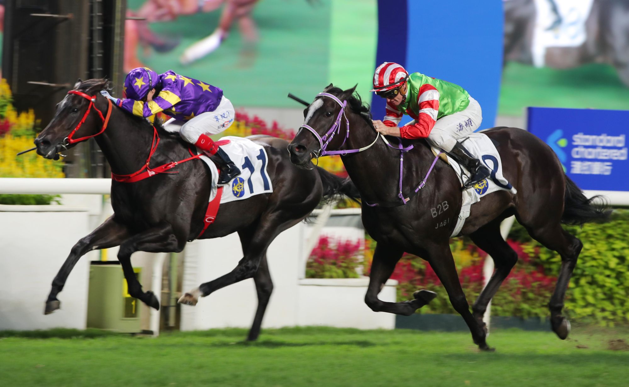 Top Dragon (outside) gets up late to win under Zac Purton at Sha Tin in May.