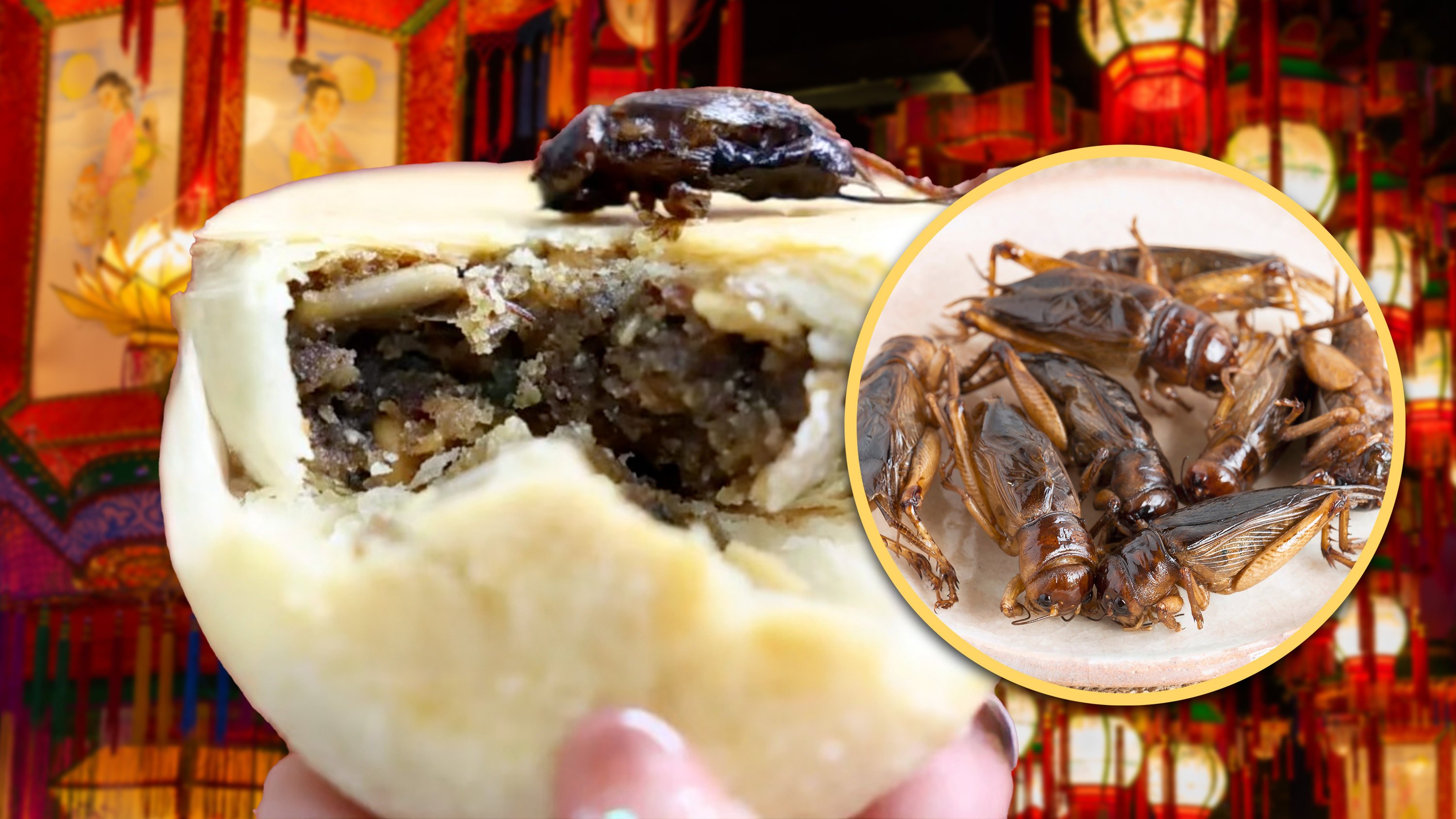 Dried, ground crickets are being used as mooncake filling in China, sparking concern about potential cockroach mooncakes. Photo: SCMP composite/Shutterstock/Douyin