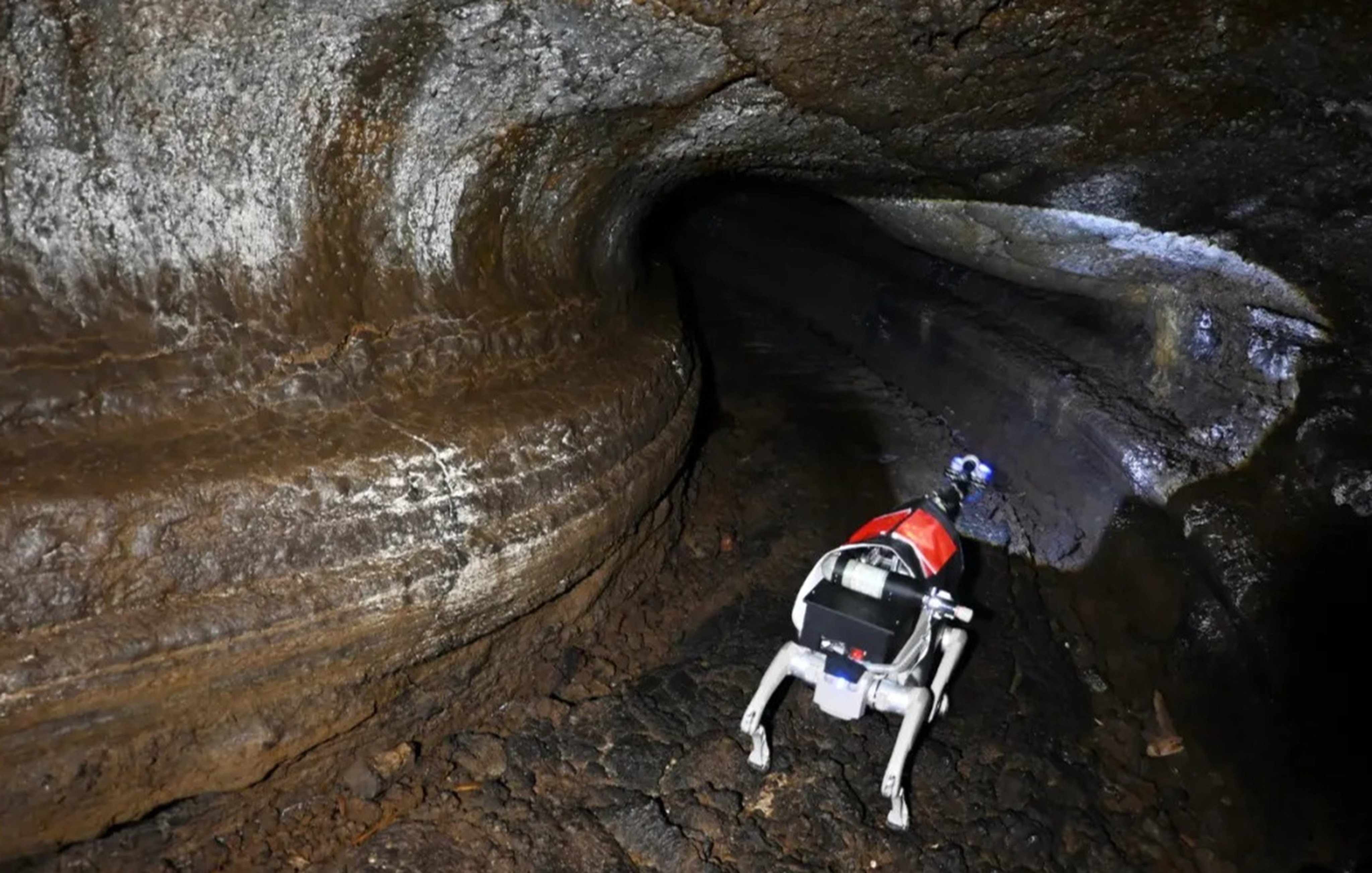 Specialised robotic dogs such as the one seen here have been tested in a cave in northeastern China in an area that simulates the lunar underground. Photo: Handout