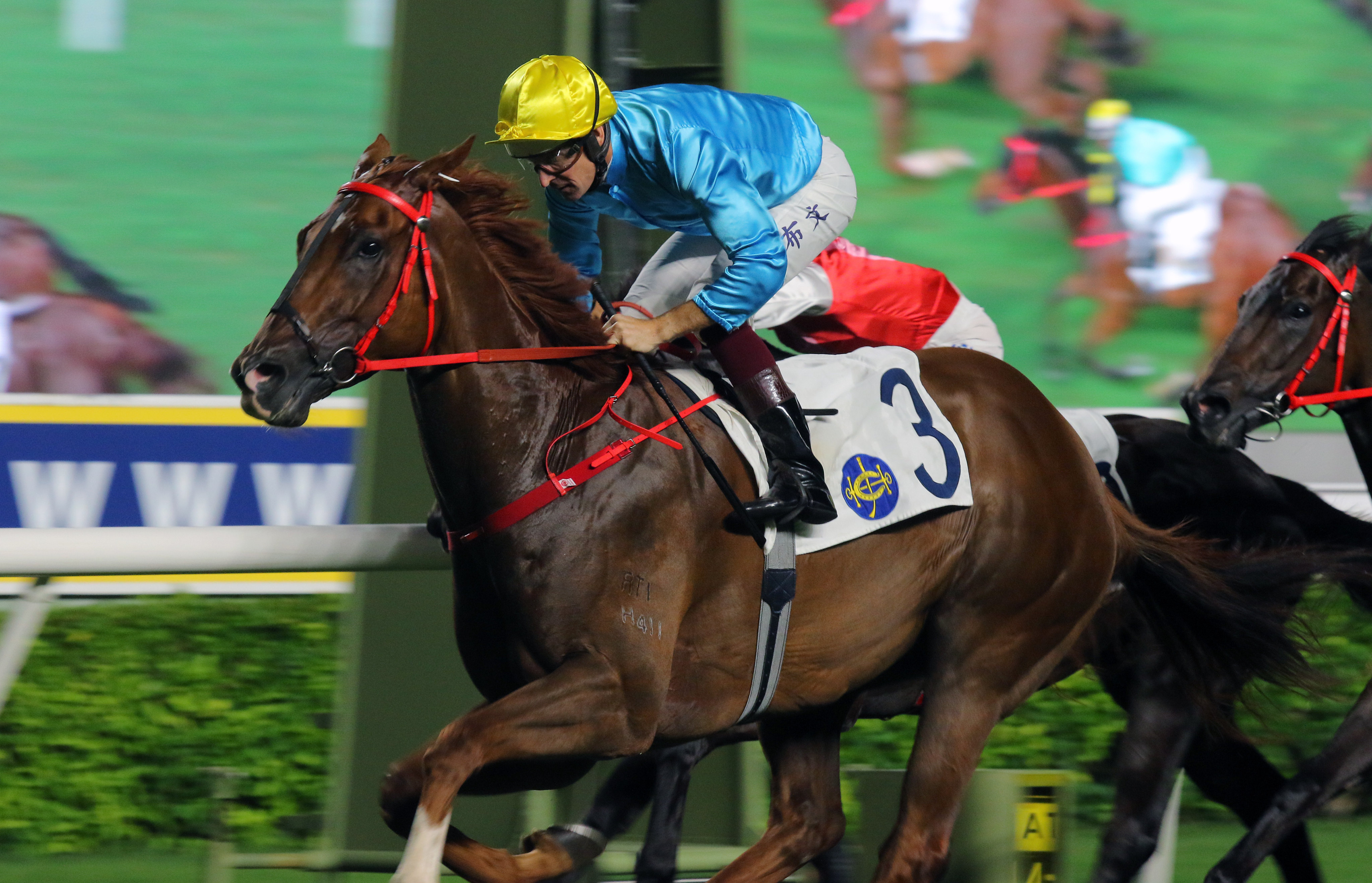 Wunderbar salutes under Hugh Bowman at Sha Tin in June. Photo: Kenneth Chan