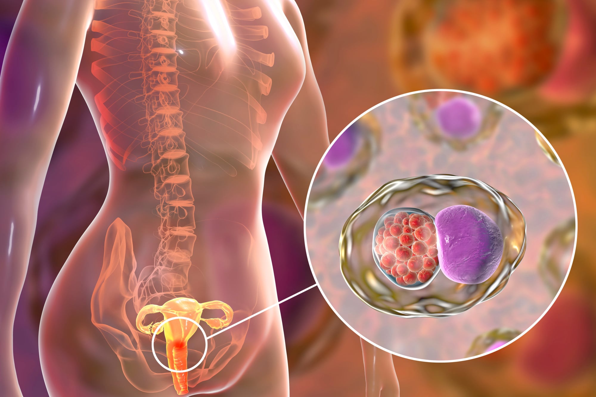 What Is Chlamydia Bacteria