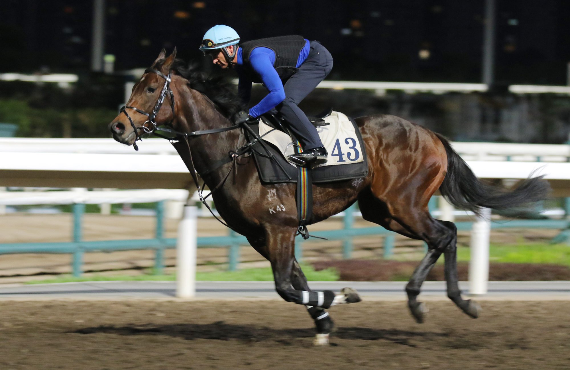 Lahore gallops on the Sha Tin dirt.