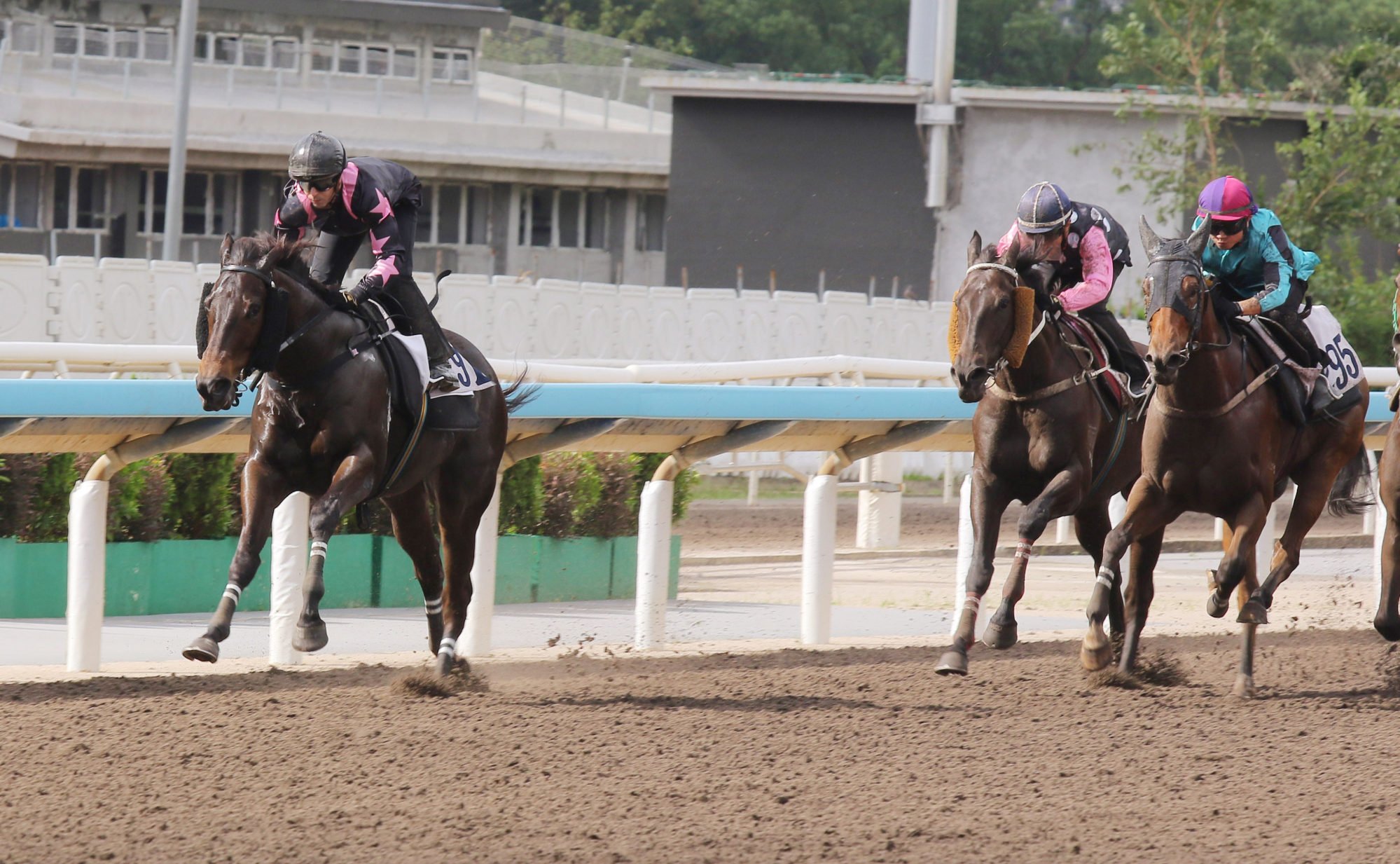 The All Out runs second in a recent dirt trial.