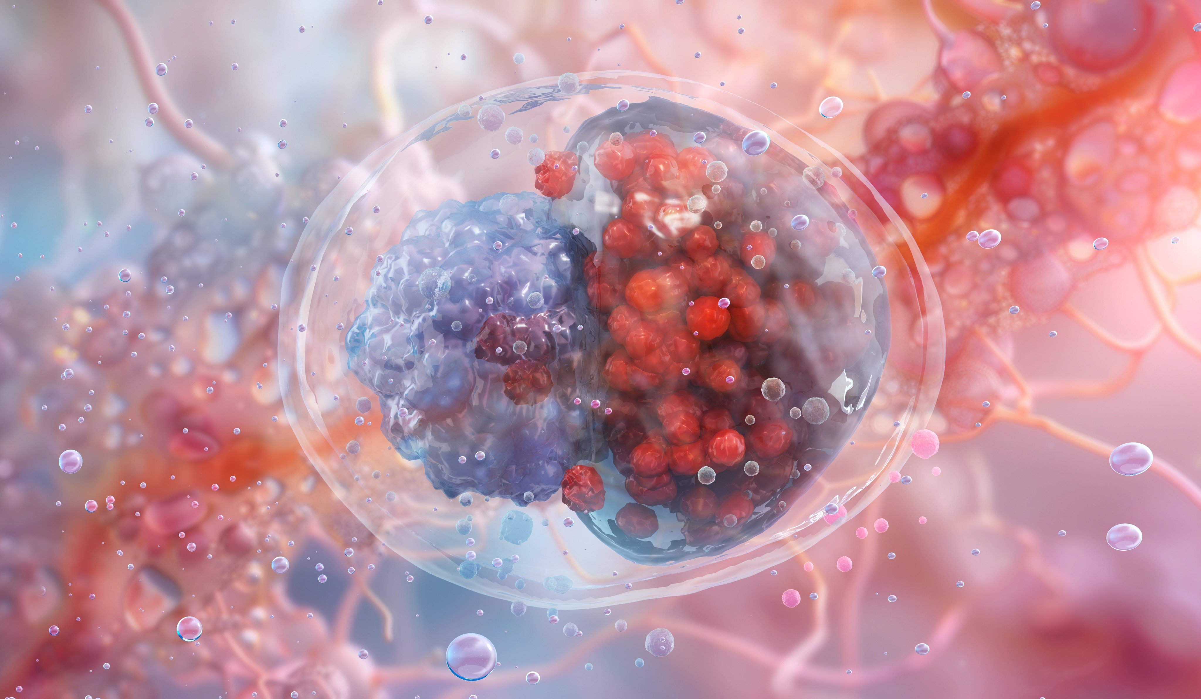 Chlamydia is caused by the bacterium Chlamydia trachomatis. It is the most common STI in Hong Kong. Photo: Shutterstock