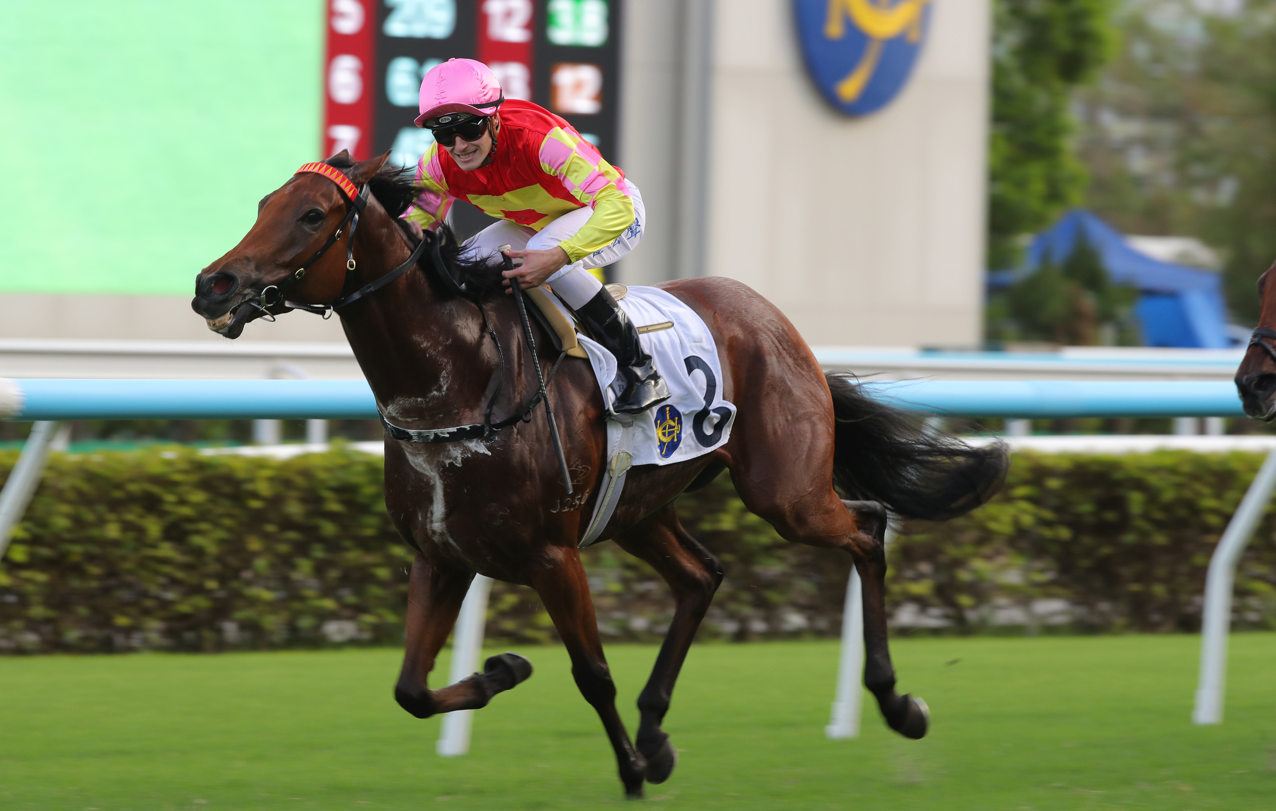My Wish takes out last weekend’s Group Three Celebration Cup (1,400m) under Luke Ferraris. Photo: Kenneth Chan