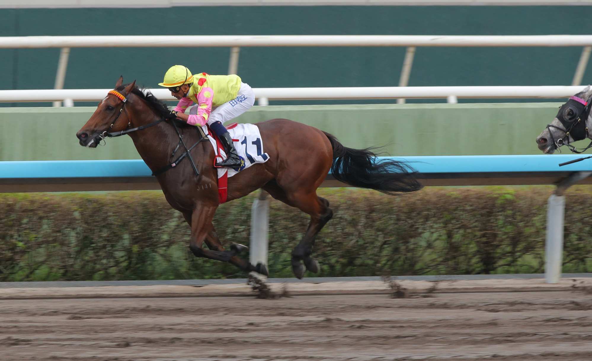 Sing Dragon shoots clear under Karis Teetan.