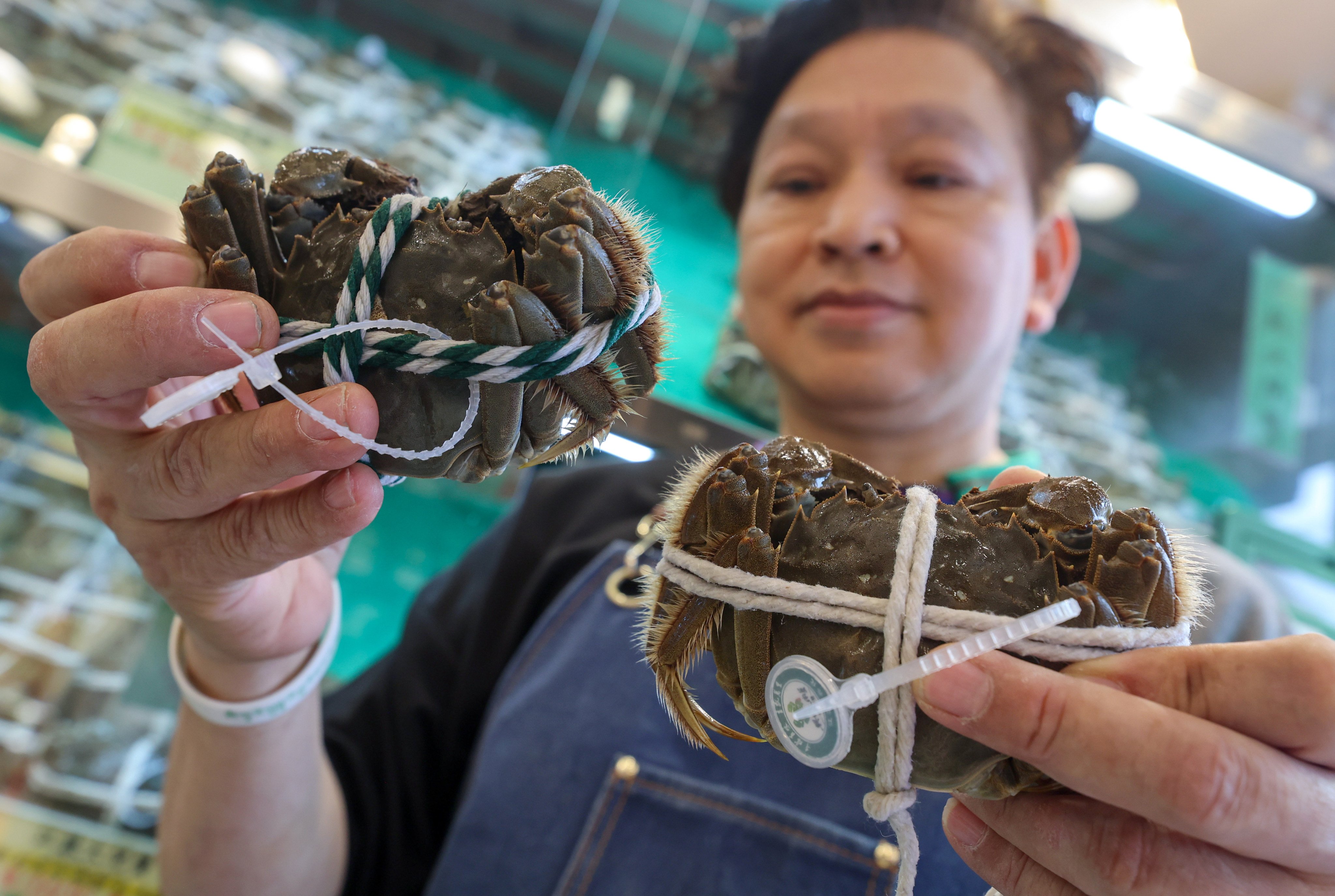 The catering and retail sectors are expected to enjoy a surge in hairy crab sales. Photo: Edmond So
