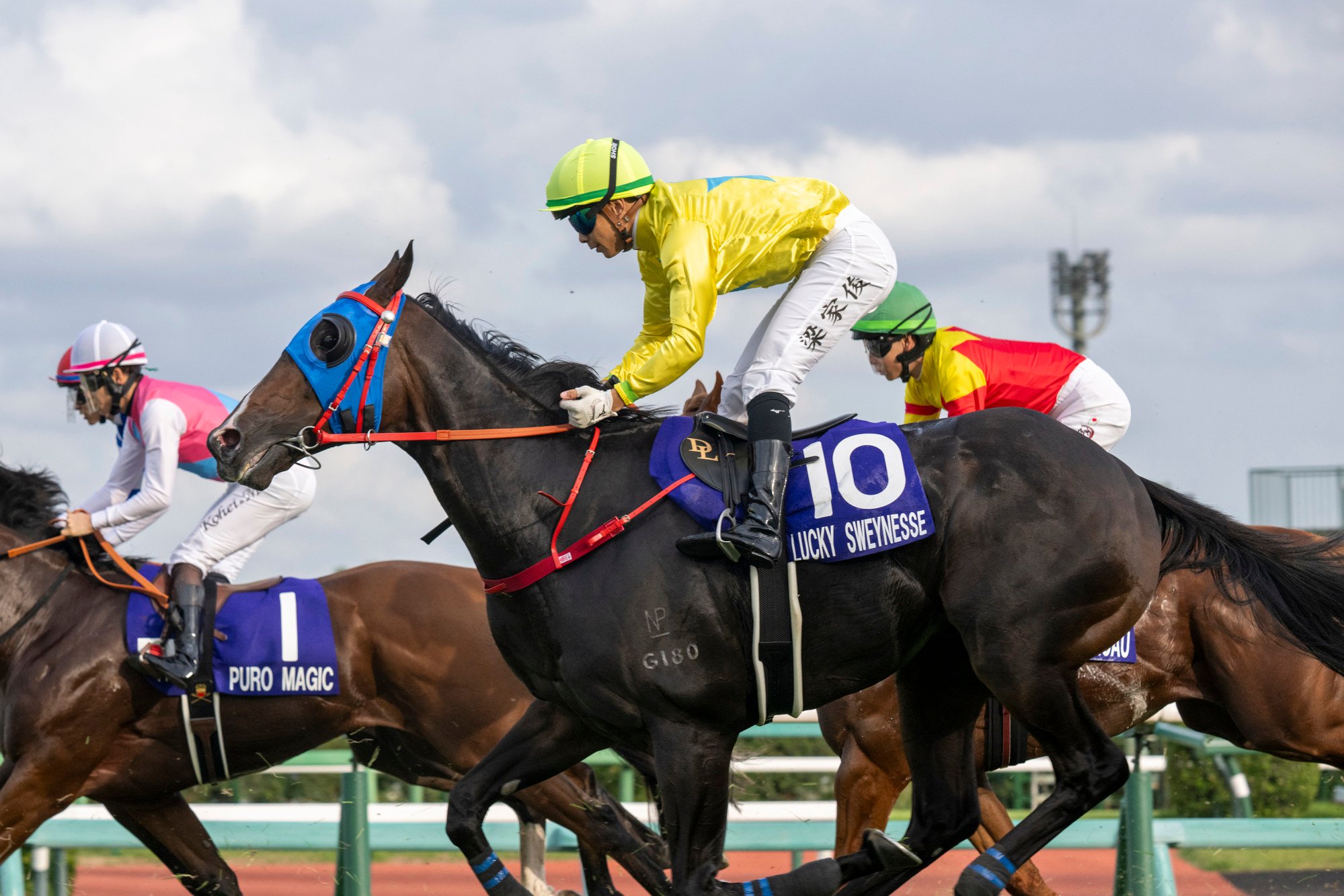 Lucky Sweynesse finishes 11th in the Group One Sprinters Stakes in Japan. Photo: HKJC Lucky Sweynesse finishes 11th in the Group One Sprinters Stakes in Japan. Photo: HKJC
