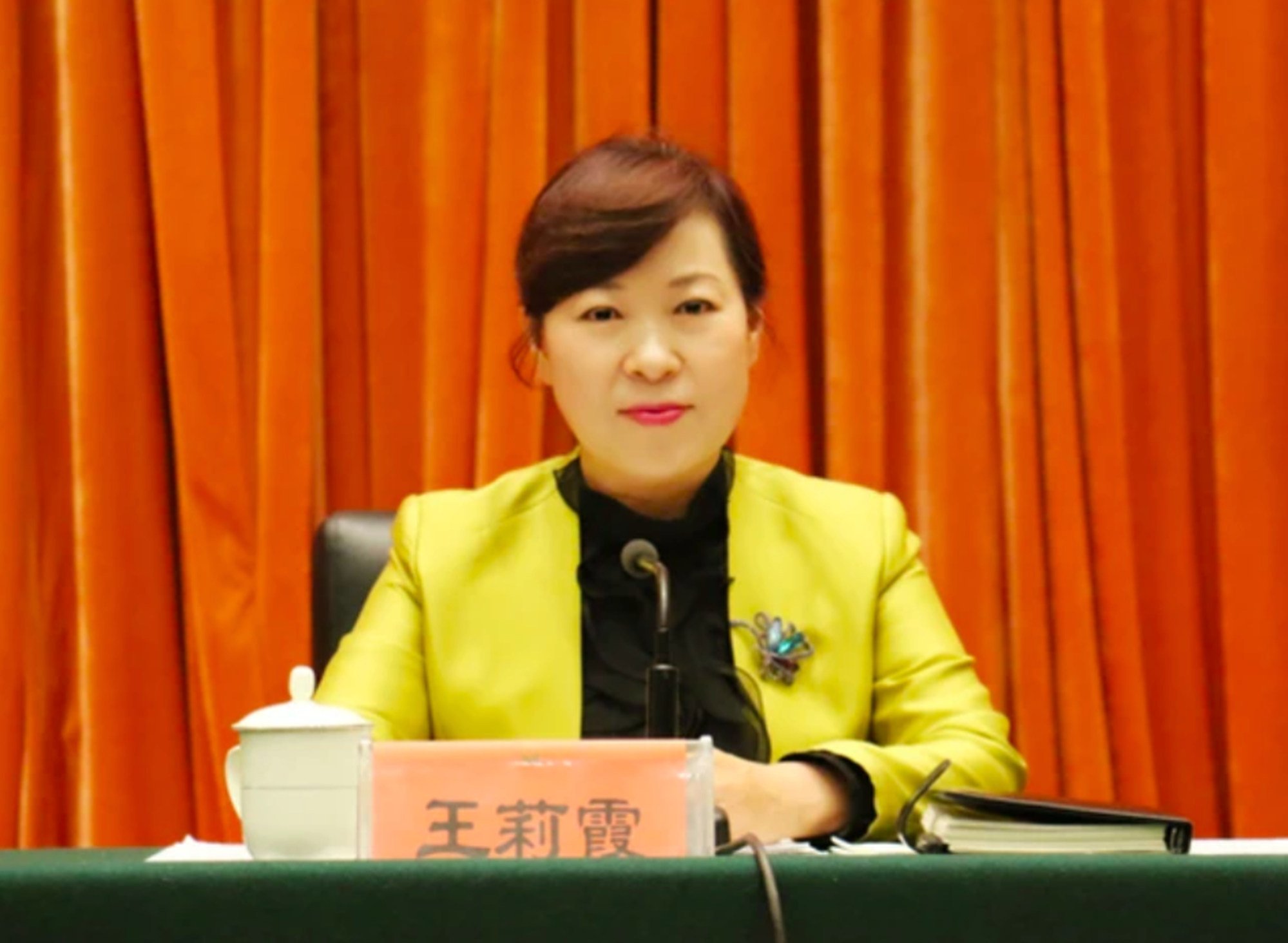 Wang Lixia is the former chairwoman of the Inner Mongolia autonomous region. Photo: QQ.com