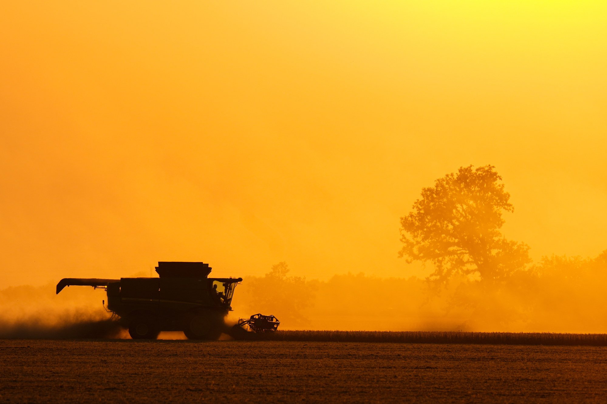 Soybeans are harvested on a farm in Warren, Indiana, the US. Photo: AP Soybeans are harvested on a farm in Warren, Indiana, the US. Photo: AP