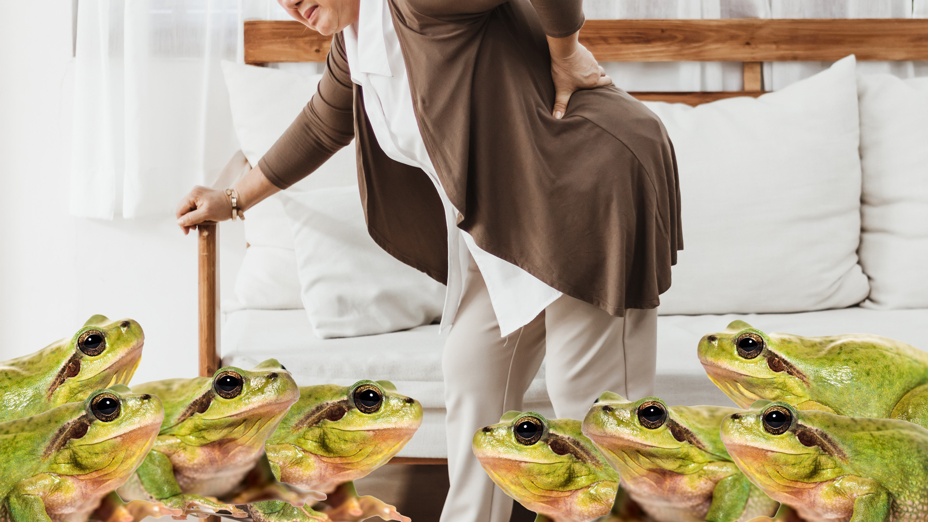 An 82-year-old Chinese woman swallowed eight live frogs based on a folk remedy for lower back pain, resulting in hospitalisation. Photo: SCMP composite/Shutterstock