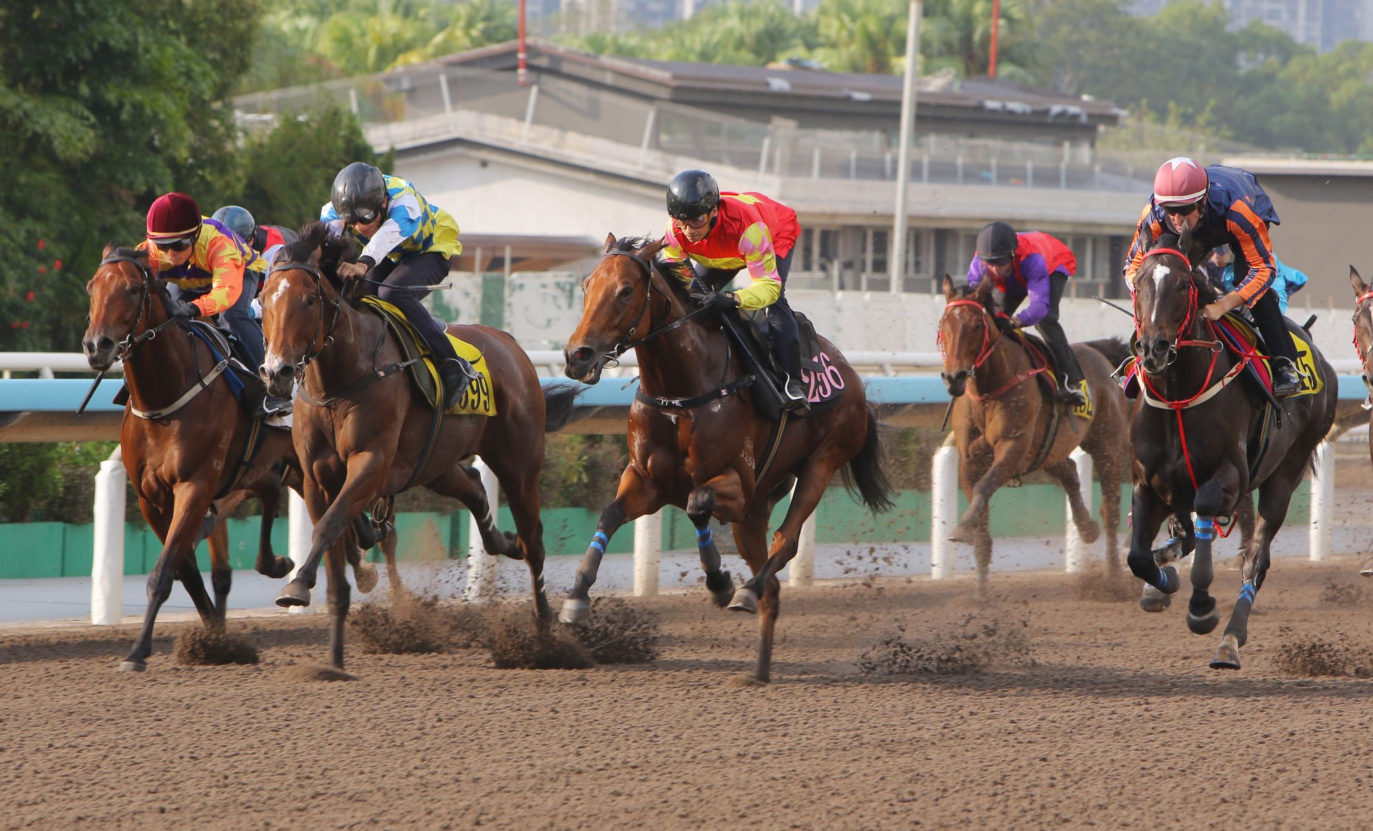 My Wish (centre) beats Galaxy Patch (second from left), Red Lion (outside) and Cap Ferrat (left) in Thursday’s trial.