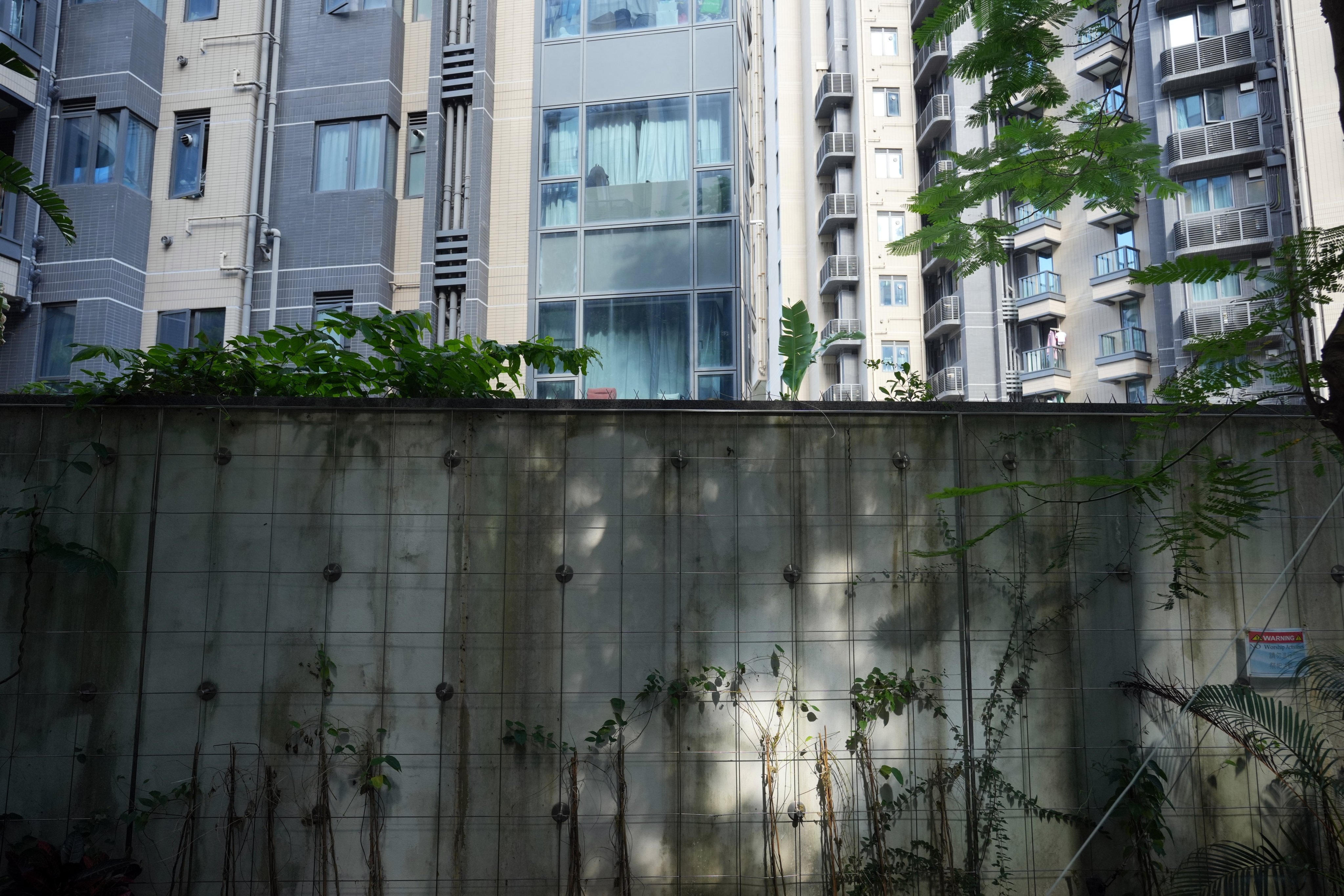 Hong Kong’s record-breaking heat is unbearable, so where is our urban greenery? Photo: May Tse