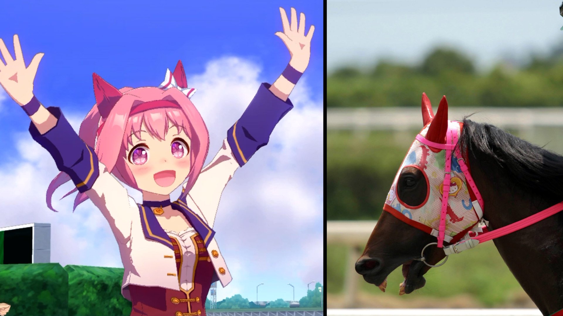 The underdog horse who won hearts, not races