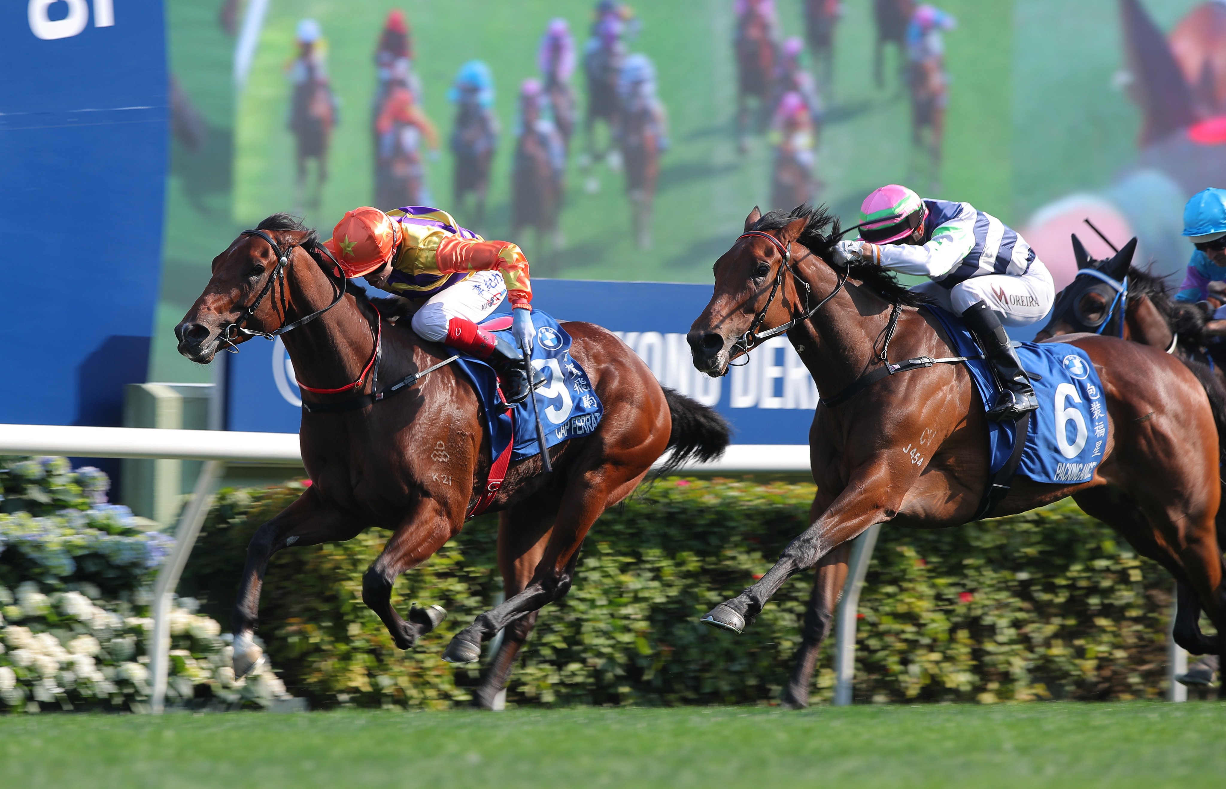 Cap Ferrat wins the Hong Kong Derby in March. Photos: Kenneth Chan