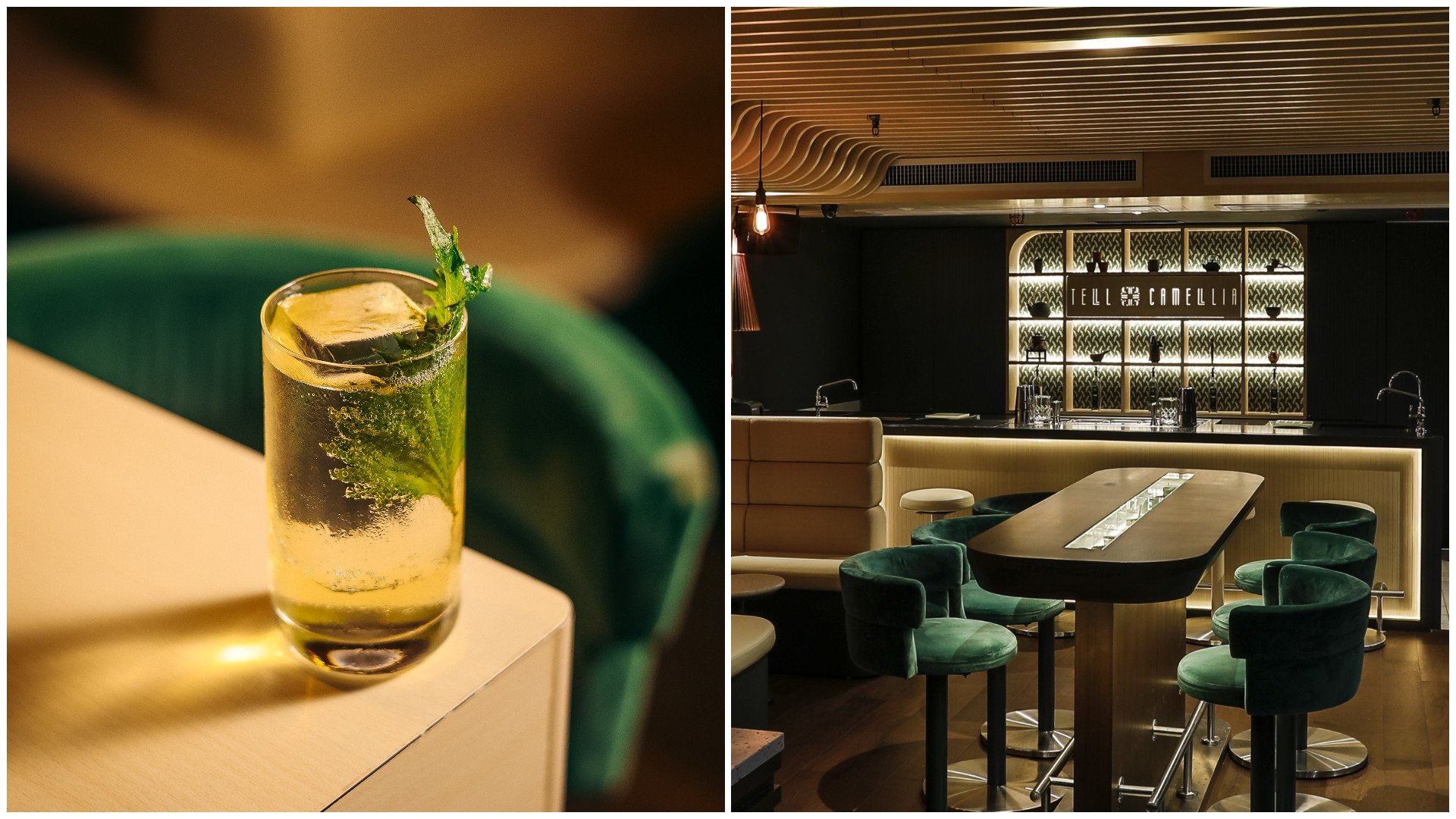 The Tall Pine cocktail at Tell Camellia, Hong Kong, is refreshing and crisp. Photo: Handout