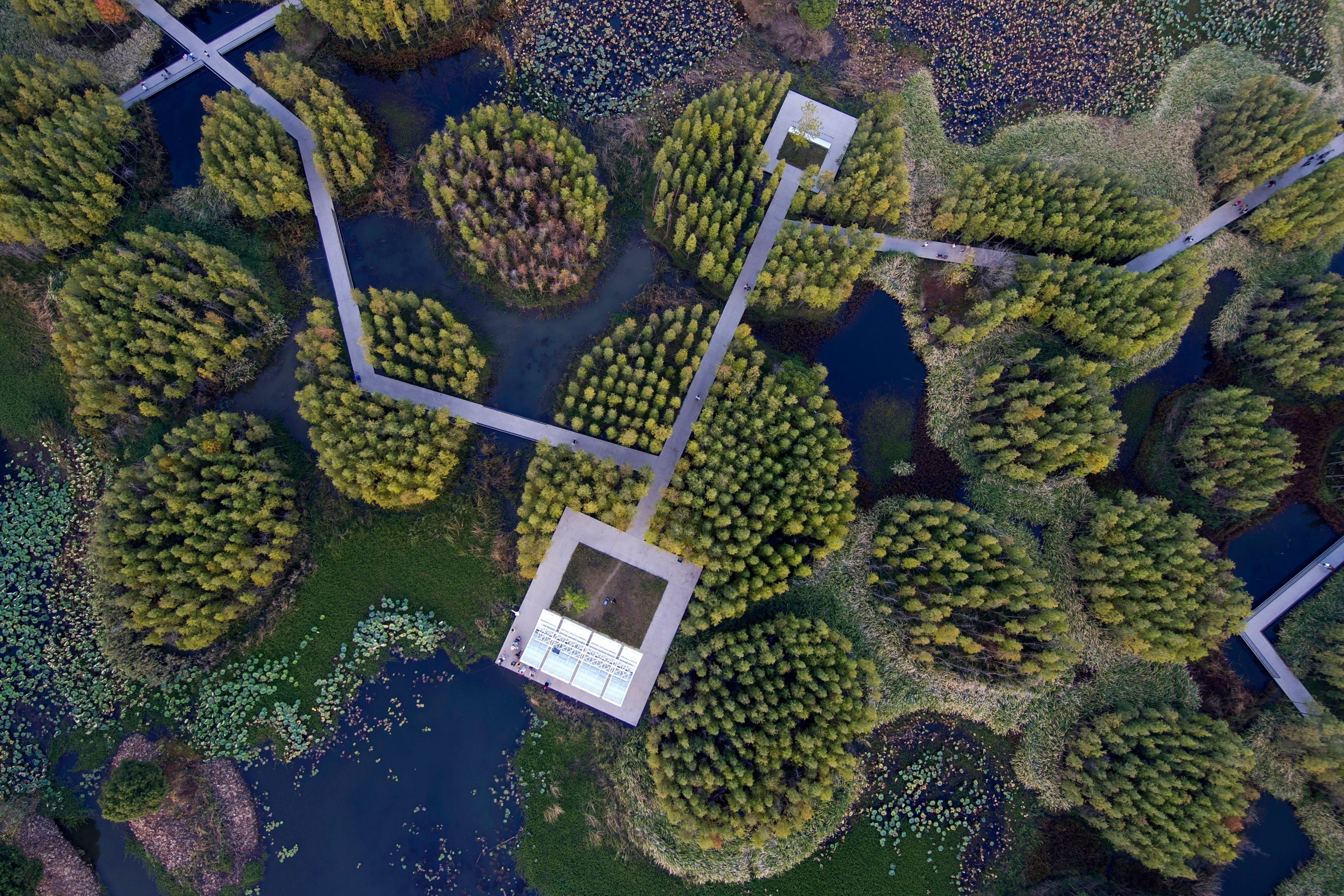 A walkway passes ponds and islets at the Fish Tail sponge park built on a former dumping ground for coal ash in Nanchang, Jiangxi province in 2022. Photo: AP