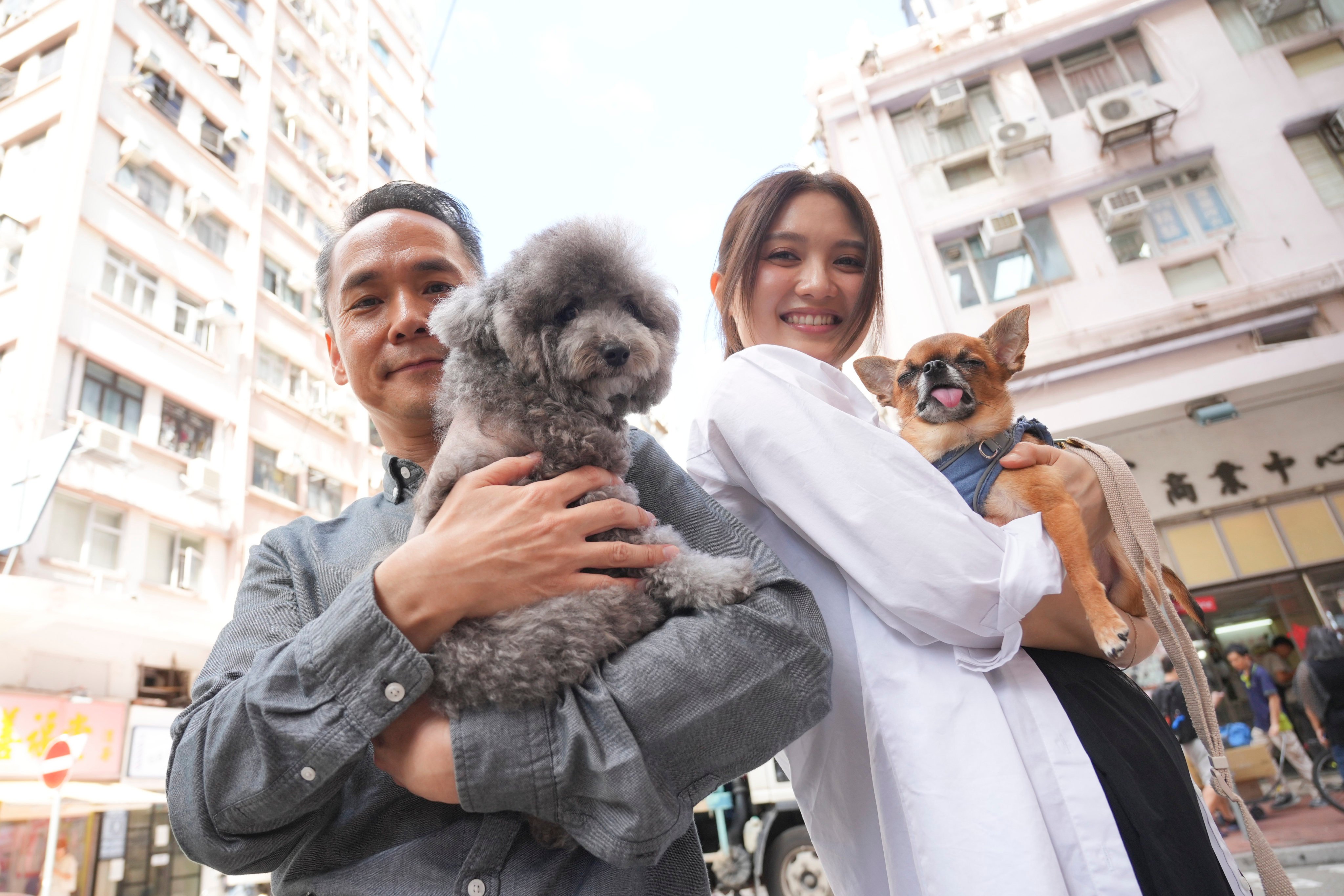 Au Cheuk-man, director of the film Paws Land, and singer Cath Wong with their adopted dogs, Daniel and Moon Moon, in Jordan. Photo: May Tse