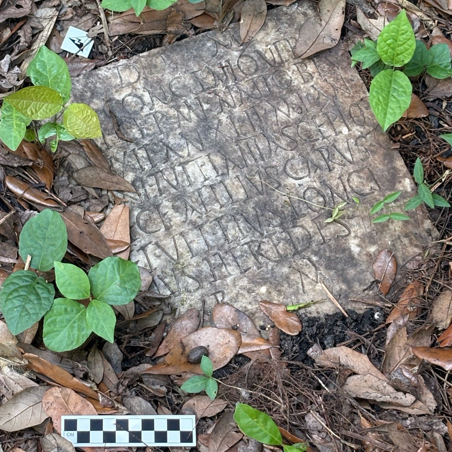 A 1,900-year-old grave marker of a Roman sailor named Sextus Congenius Verus, discovered in a New Orleans backyard. Photo: Susann Lusnia/AP