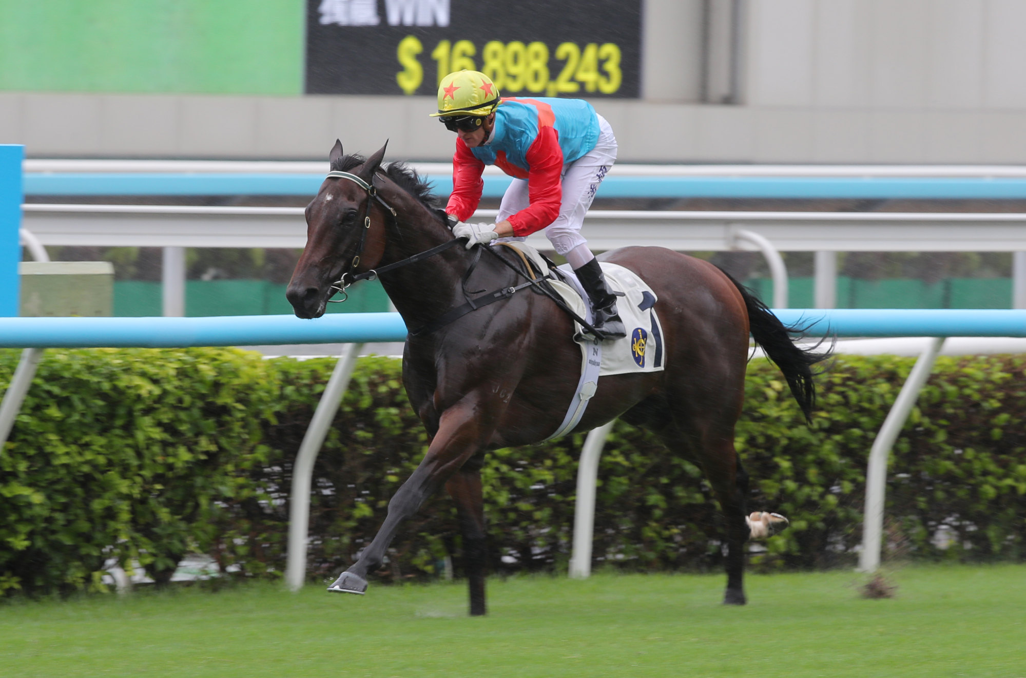 Ka Ying Rising wins at Sha Tin last month.