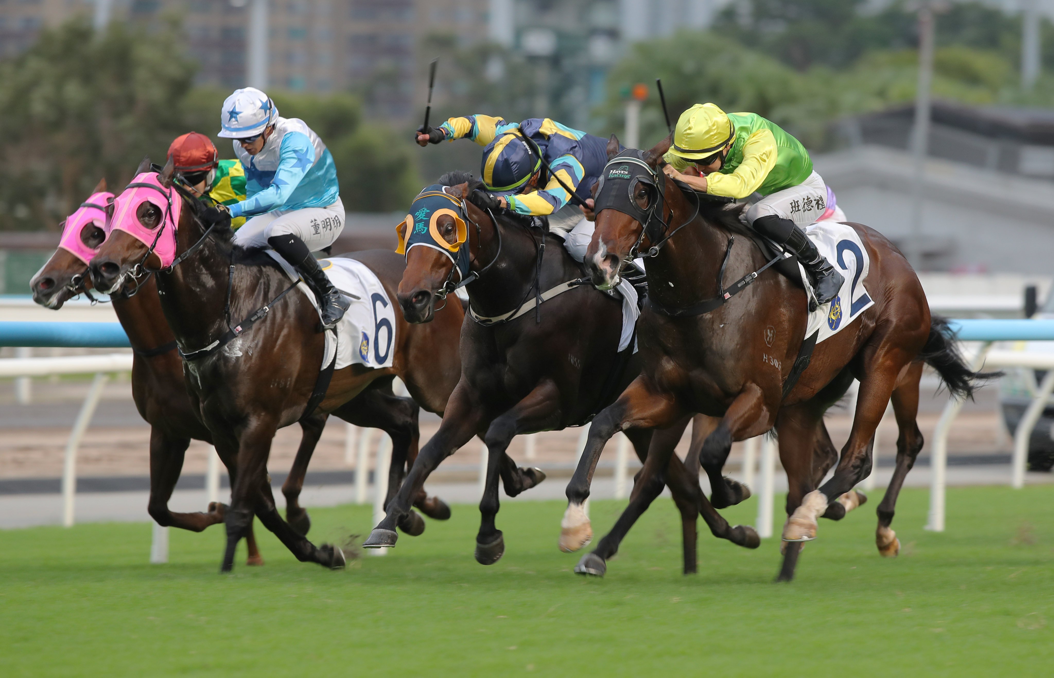 Tomodachi Kokoroe (right) outlasts Lady’s Choice at Sha Tin on Sunday. Photos: Kenneth Chan