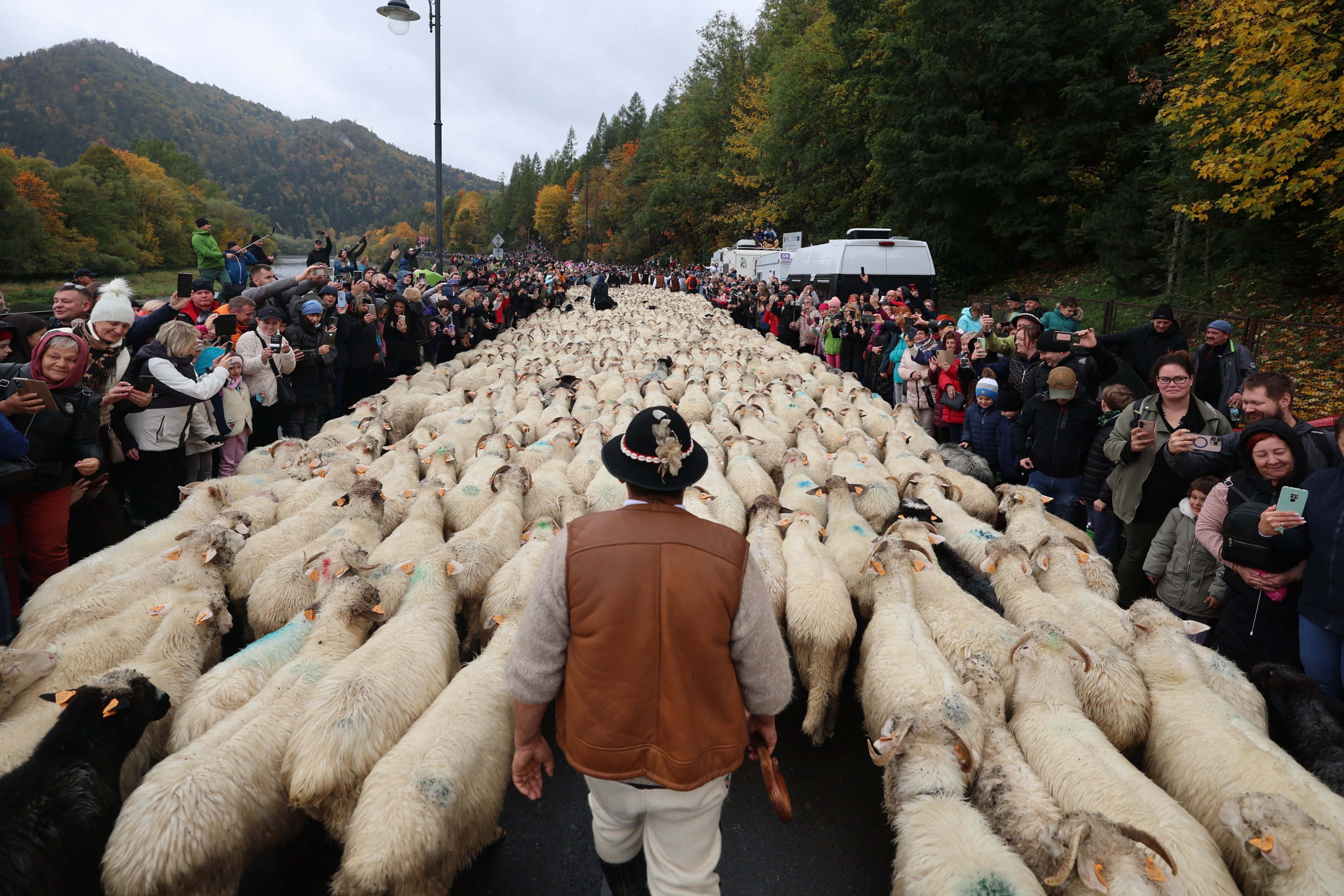 An image from Redyk, a traditional autumn festival in Poland, where shepherds guide their flocks down from the mountain pastures to their winter homes. Photo: EPA