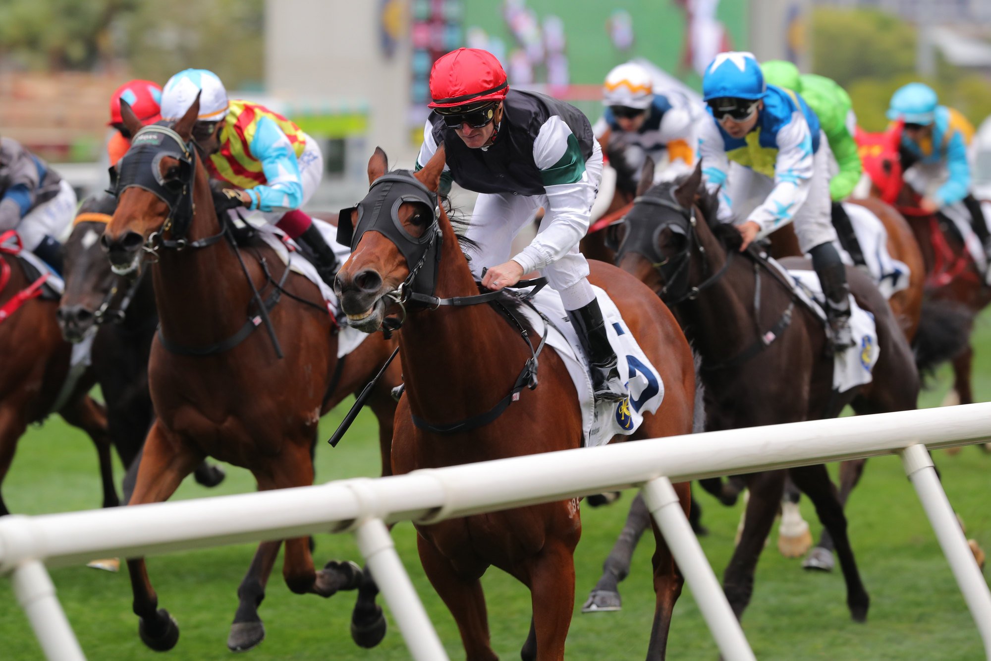 La Forza scuttles up the rail under Zac Purton to win at Sha Tin in March. La Forza scuttles up the rail under Zac Purton to win at Sha Tin in March.